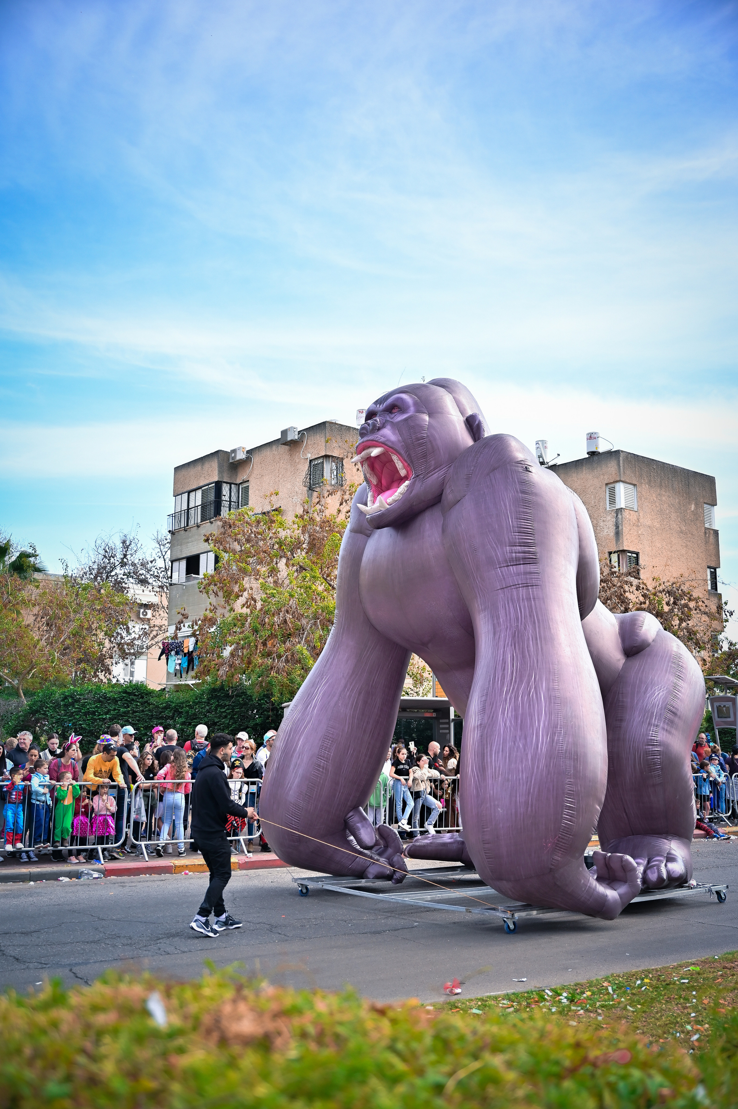 Фотосессия мероприятия. Женский, семейный и детский фотограф