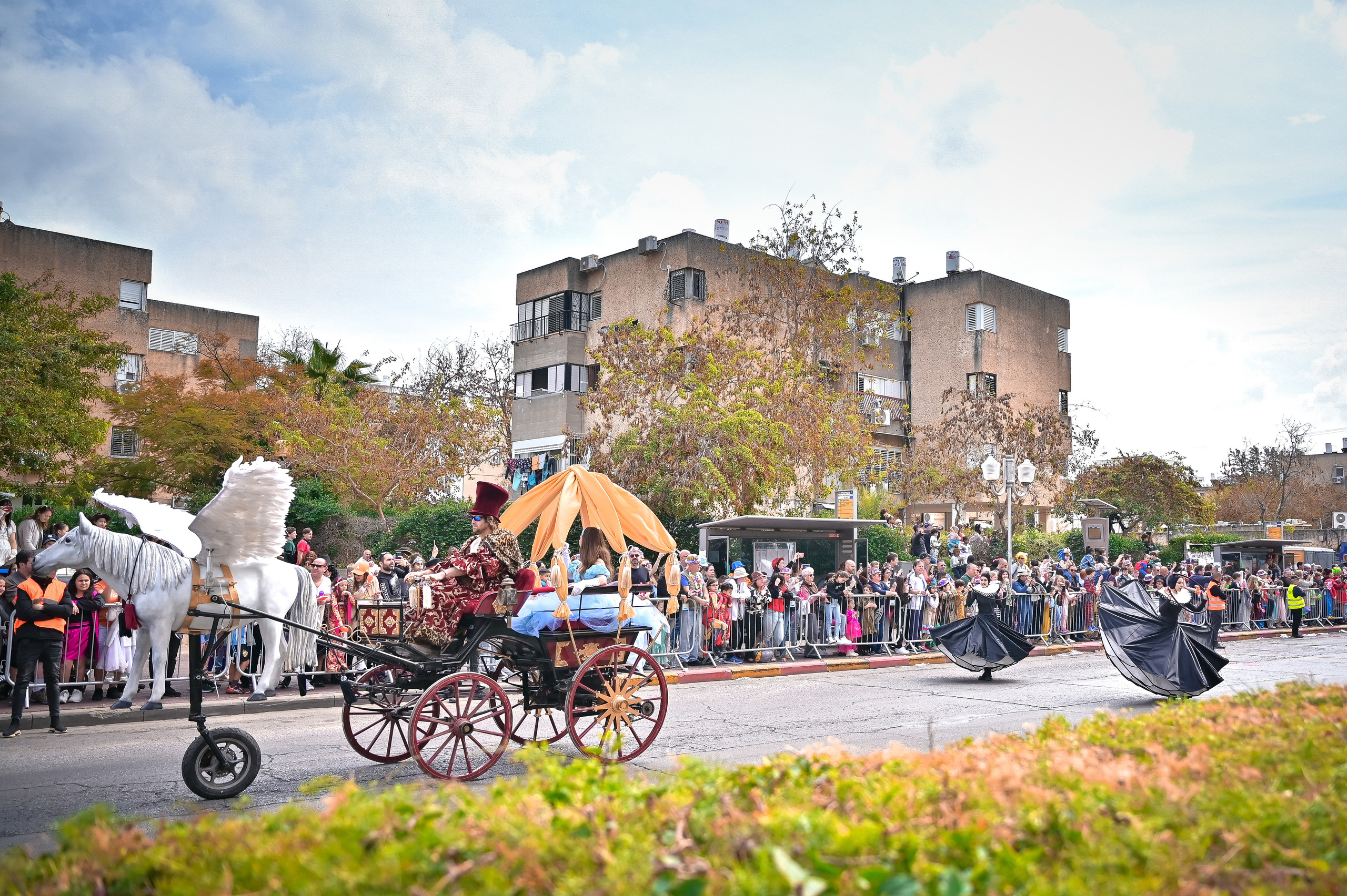 Фотосессия мероприятия. Женский, семейный и детский фотограф