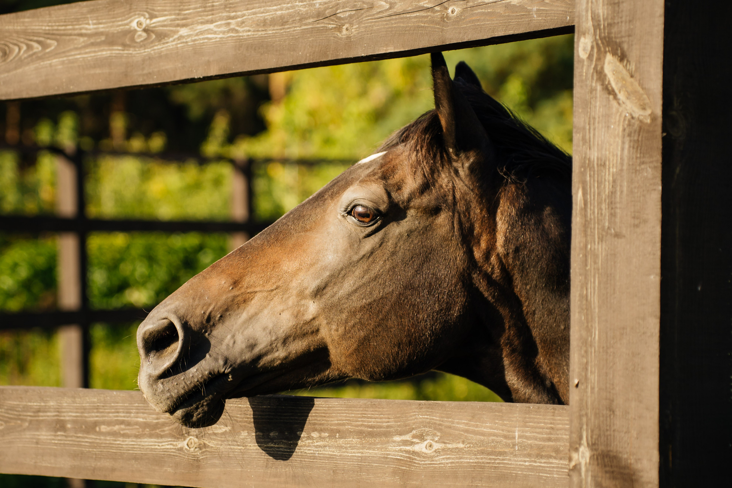 Максим и Майя. Видеограф и Фотограф в Челябинске Ксения и Владимир Рюмины