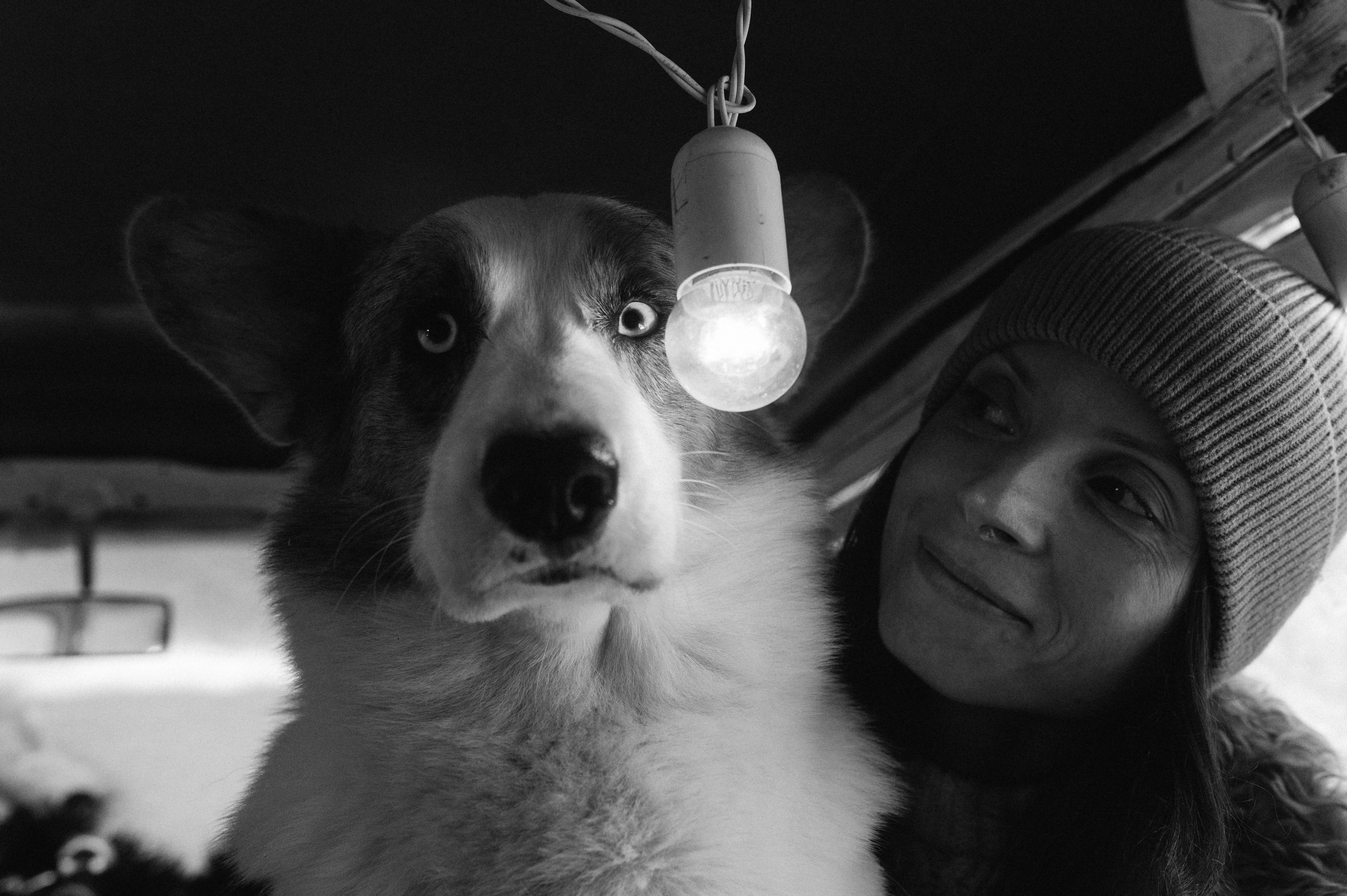 Маша и Дэф. Фотограф анималист в Москве Ольга Агушева