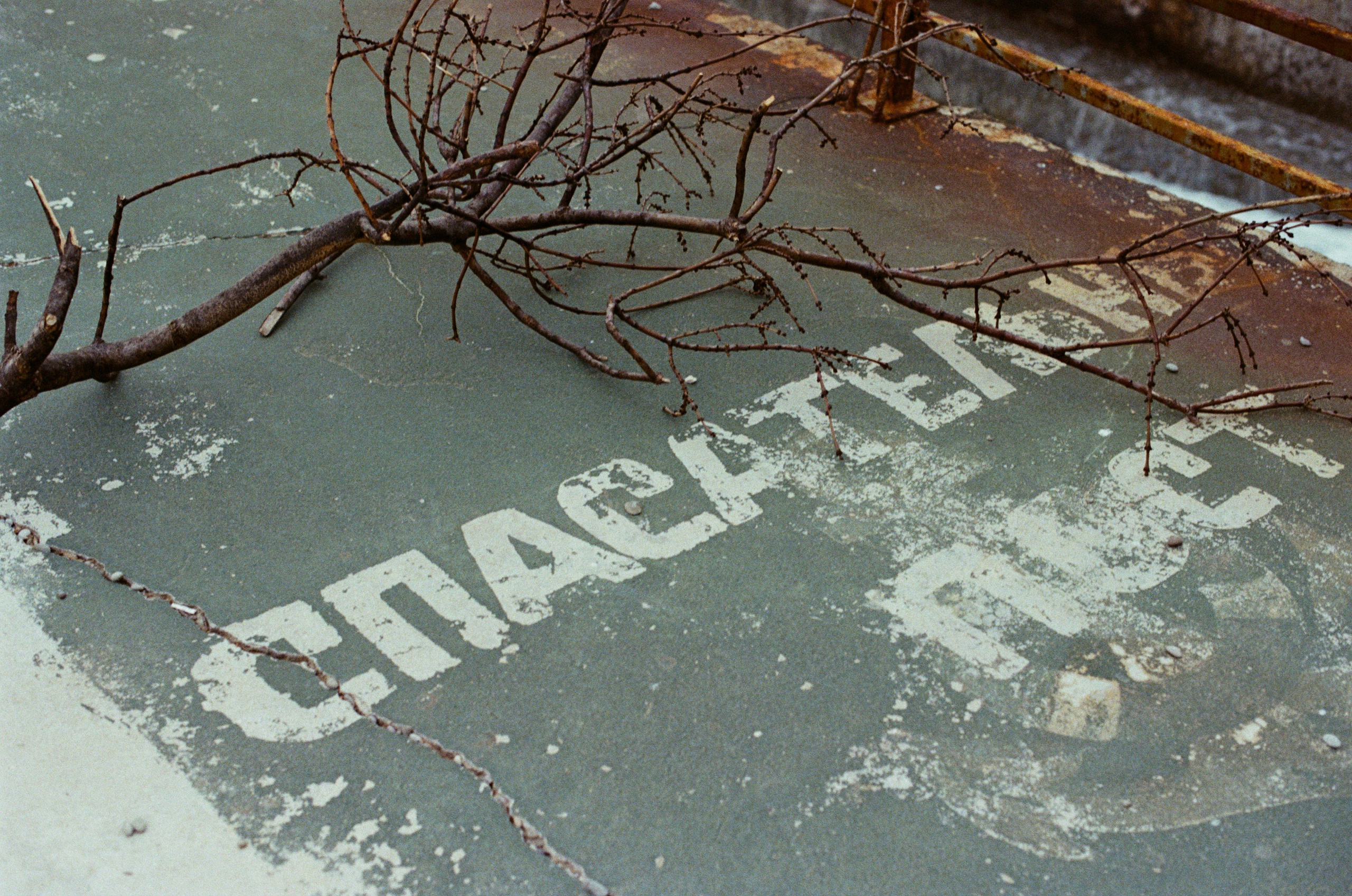 Silver strings // ukraine, crimea IV. EVER EXPOSED