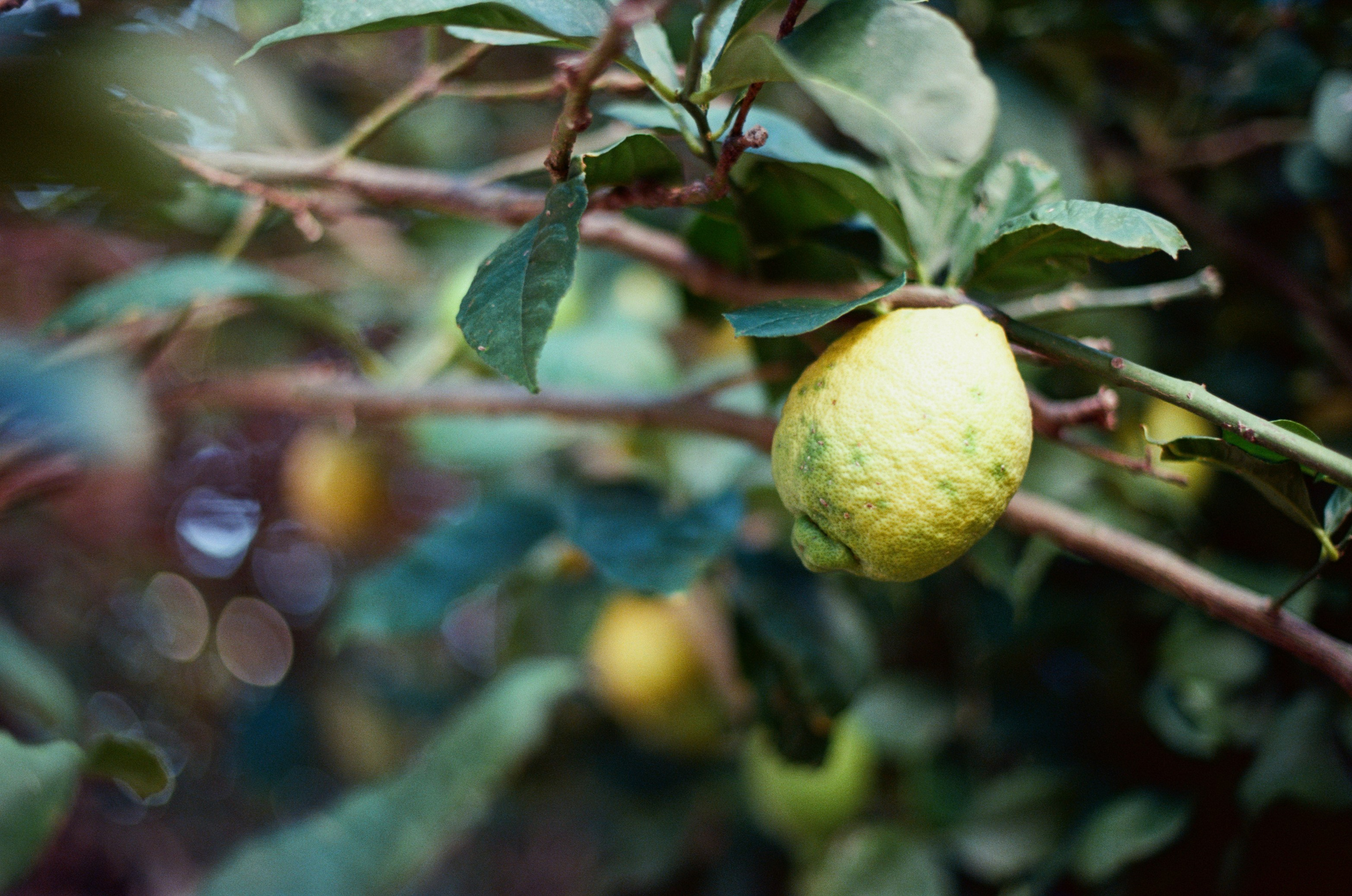 I think i'm ok // portugal, lagos. EVER EXPOSED