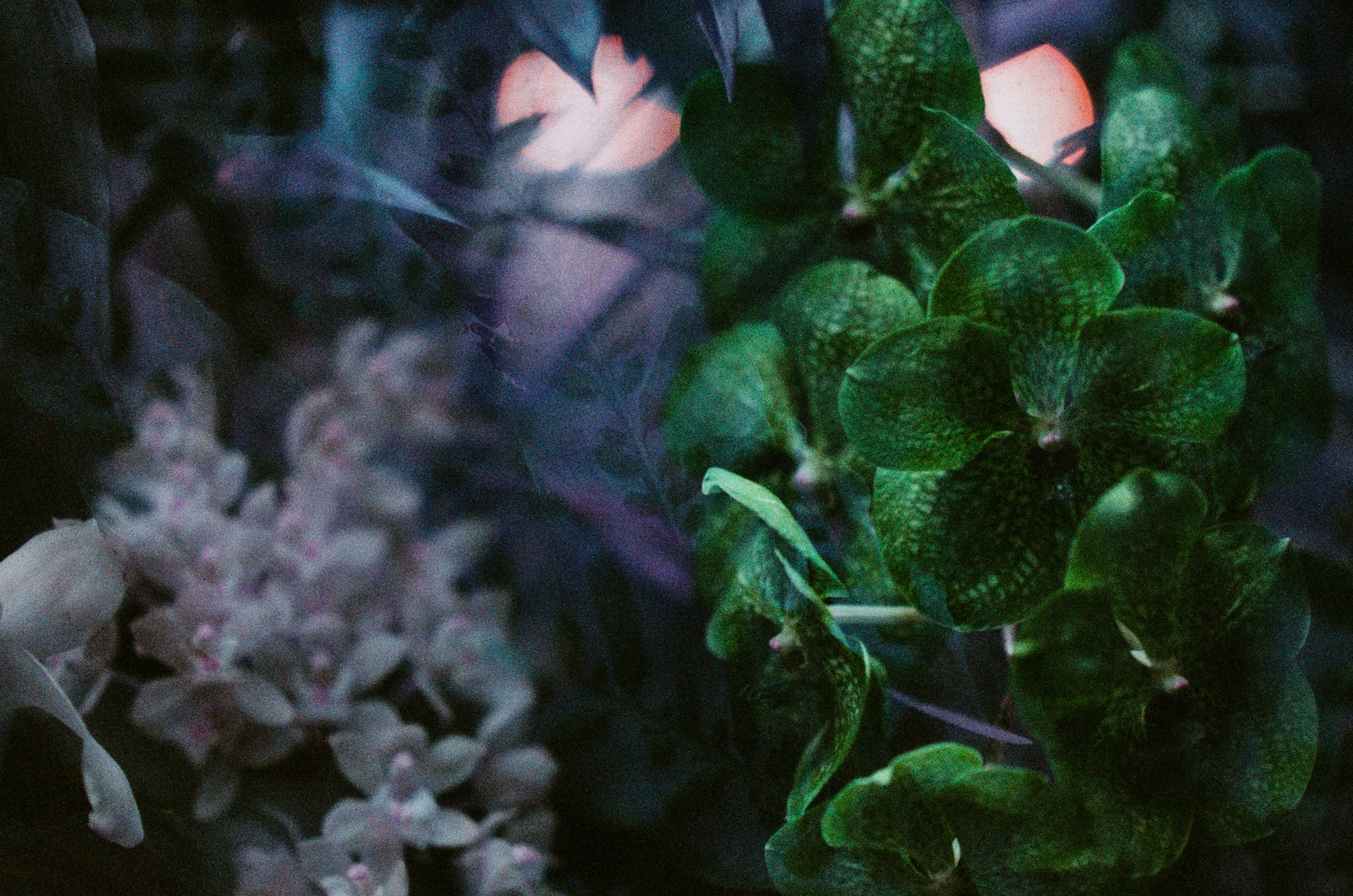 If i get high. EVER EXPOSED