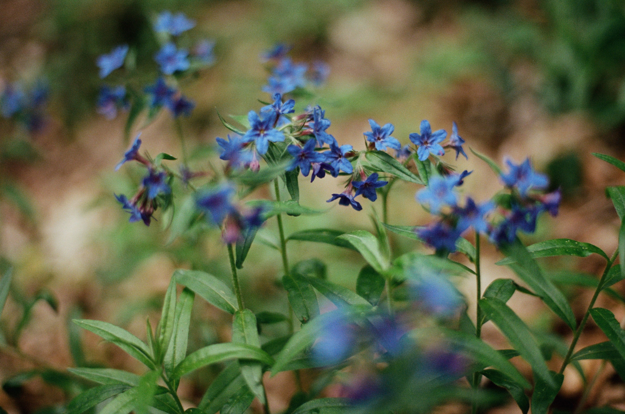 Silent running // ukraine, crimea. EVER EXPOSED