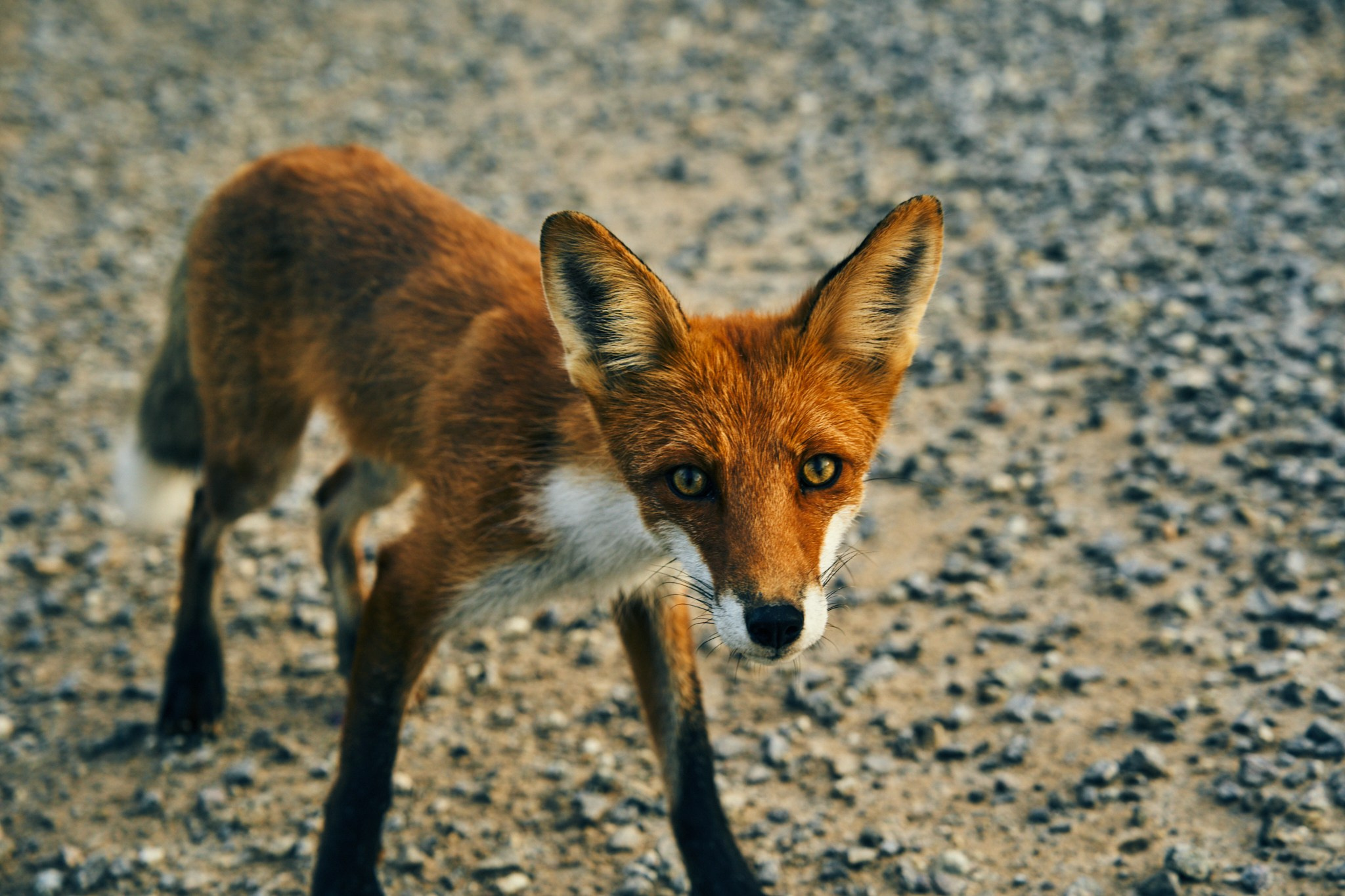 Путешествие на Север в 2023 году. Внедорожные путешествия — OFFROADTRIP