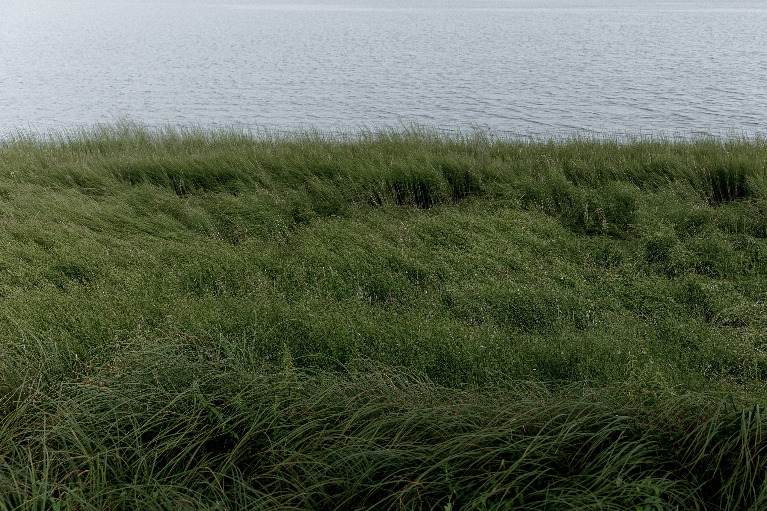 Настя и Артём. Свадебный фотограф Аня Милграм