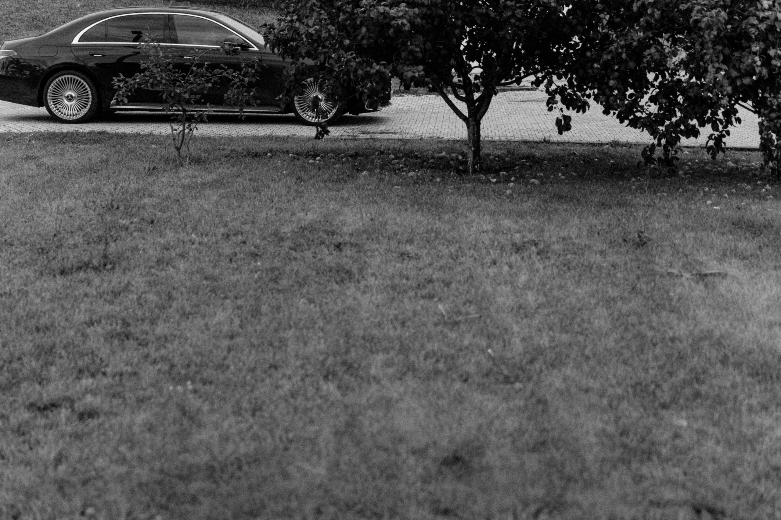 Дмитрий и Лиана. Свадебный фотограф Ирнис Дильмухаметов