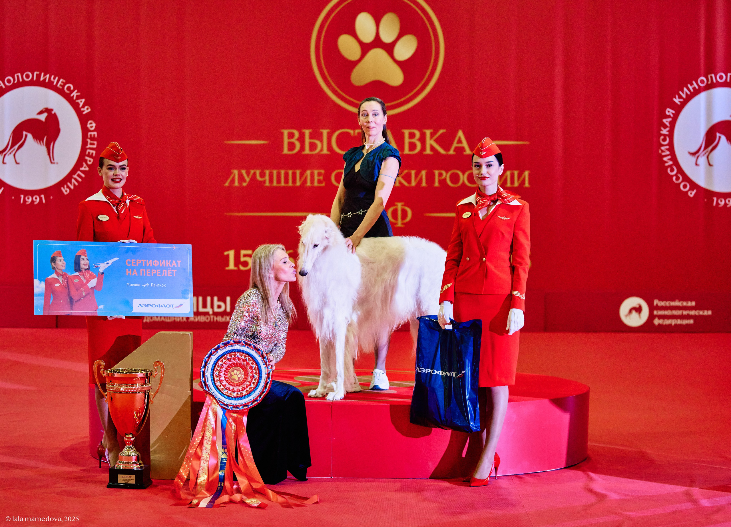 ЛУЧШИЕ СОБАКИ РОССИИ РКФ 2025