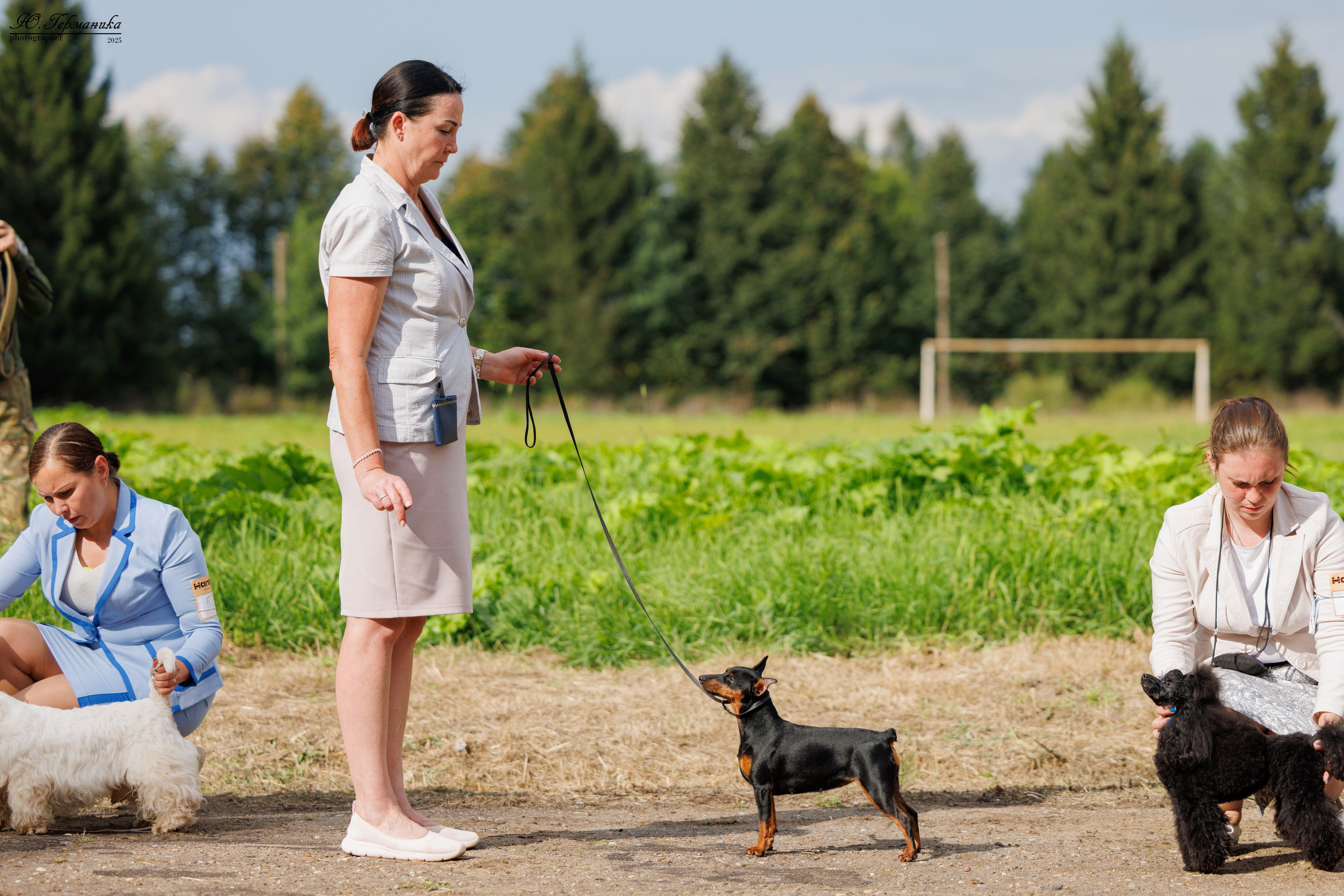 Тверь 10.08.2025. Фотограф-анималист Юлия Германика