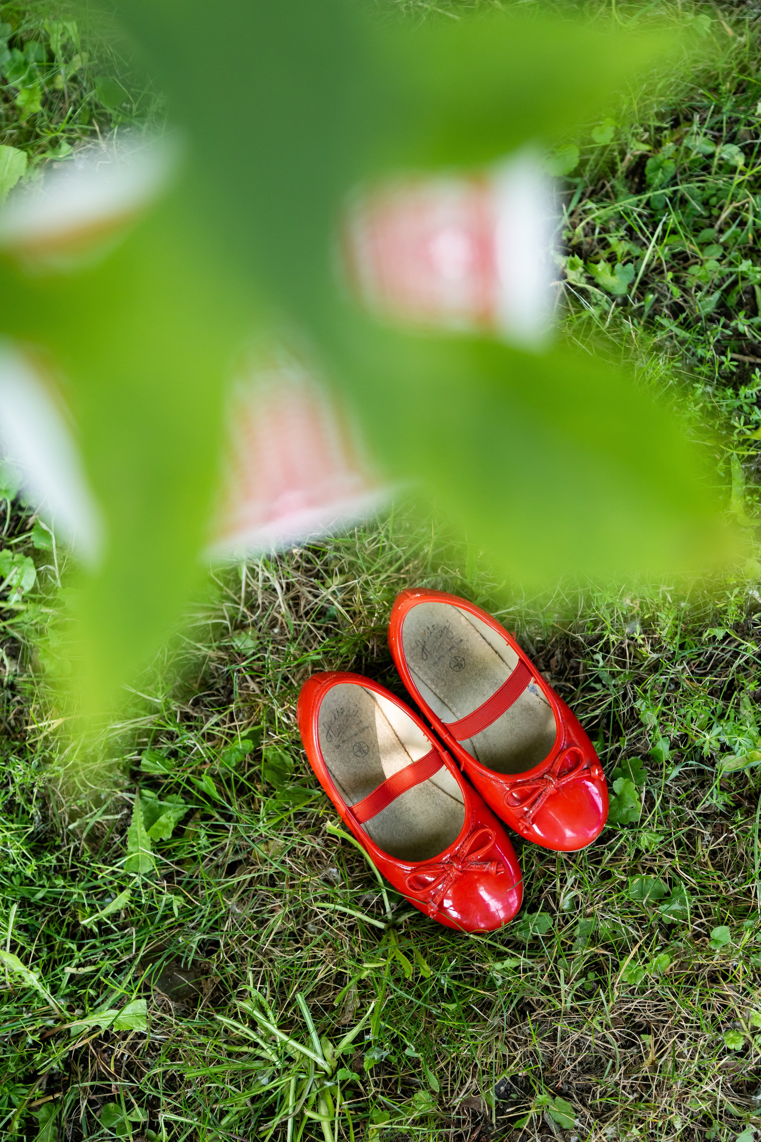 WONDERLAND. Главная