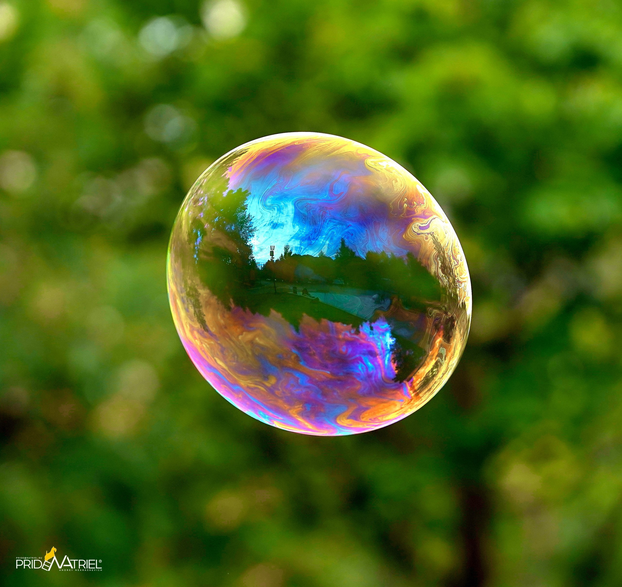 Огонь, Ветер, Вода, Земля — галерея NATRIEL