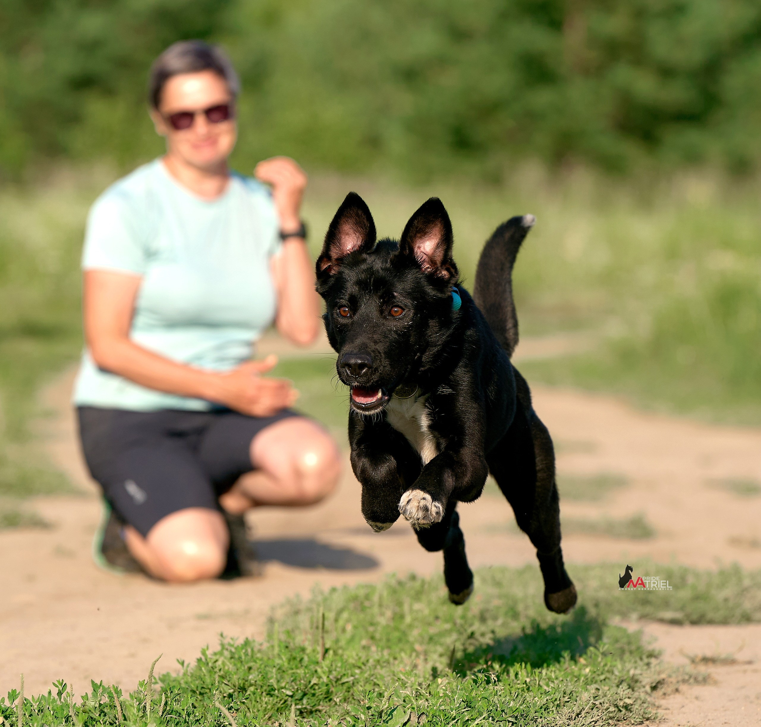 Прогулка в движении — галерея NATRIEL