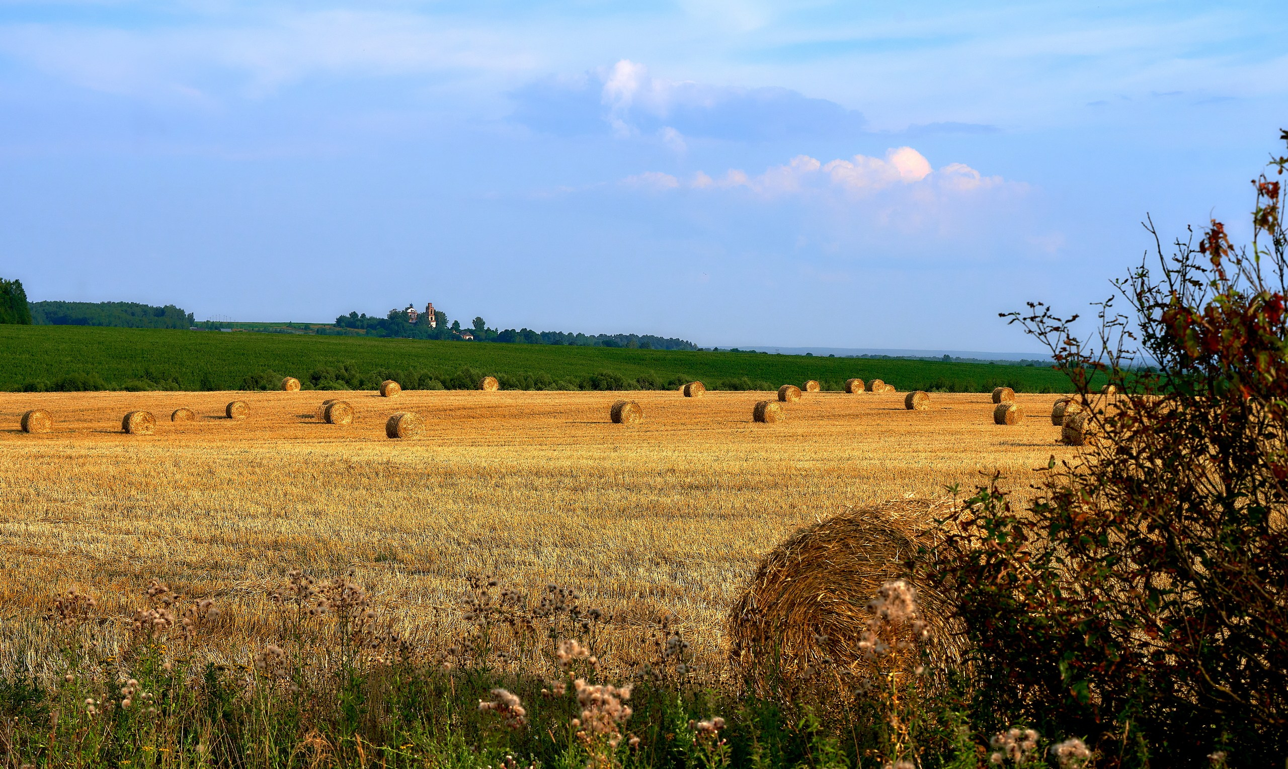 Пейзаж — галерея NATRIEL