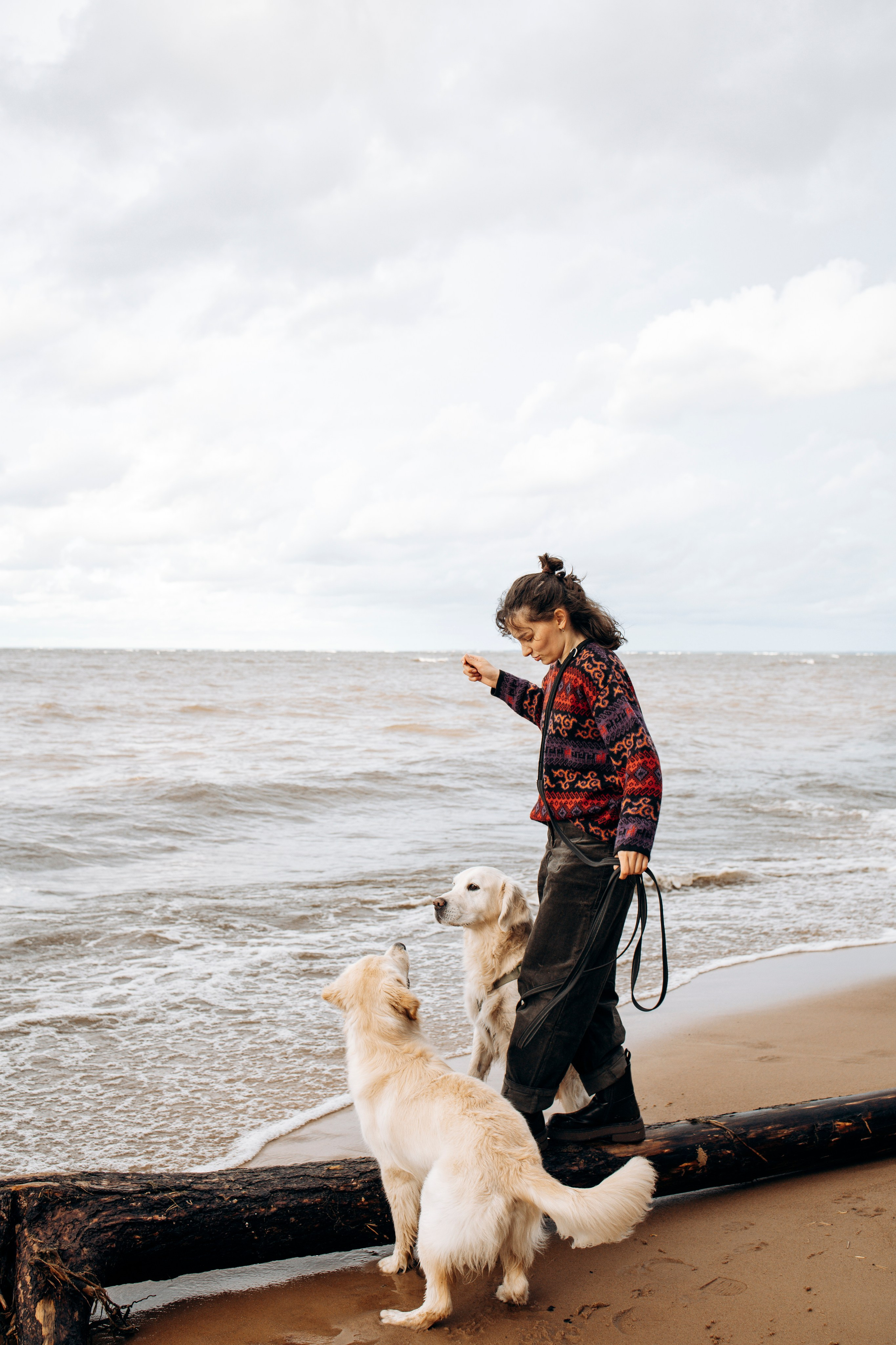 Прогулка Насти с Арчи и Арагоном. Фотограф-анималист в Санкт-Петеребурге Титова Алиса