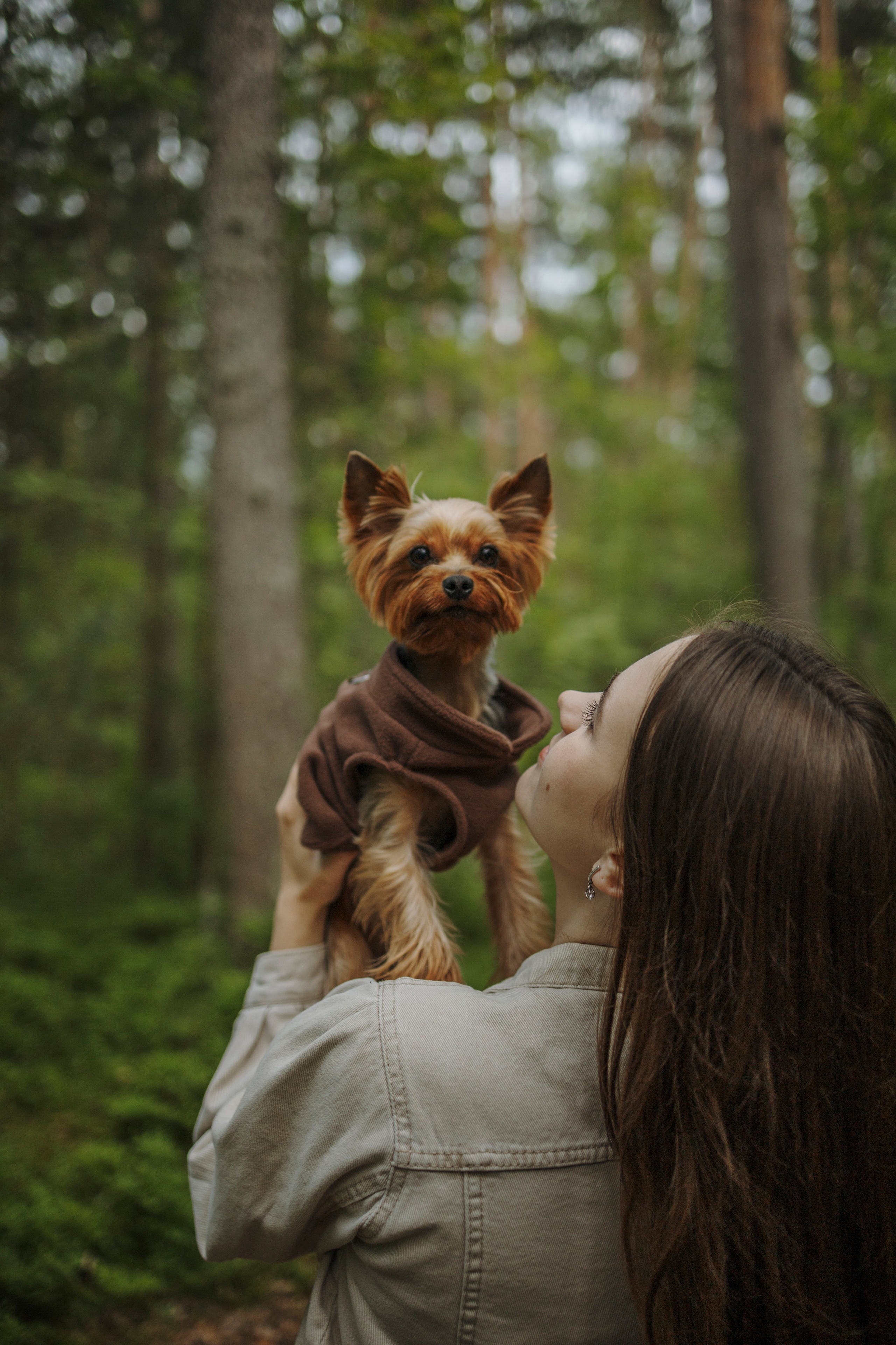 День из жизни Чуи и его семьи. Фотограф-анималист в Санкт-Петеребурге Титова Алиса
