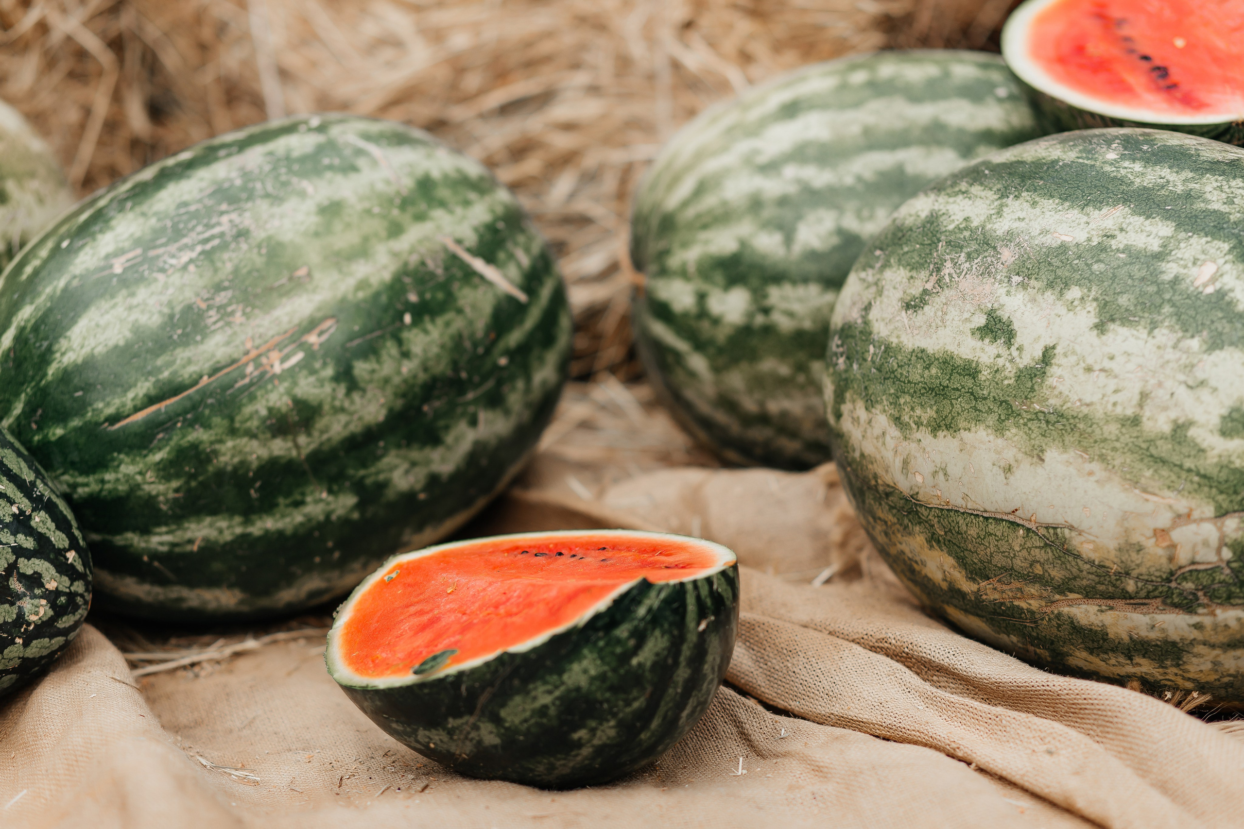Осенняя детская фотосессия с арбузами. Фотограф в Подольске — Мария Бучнева