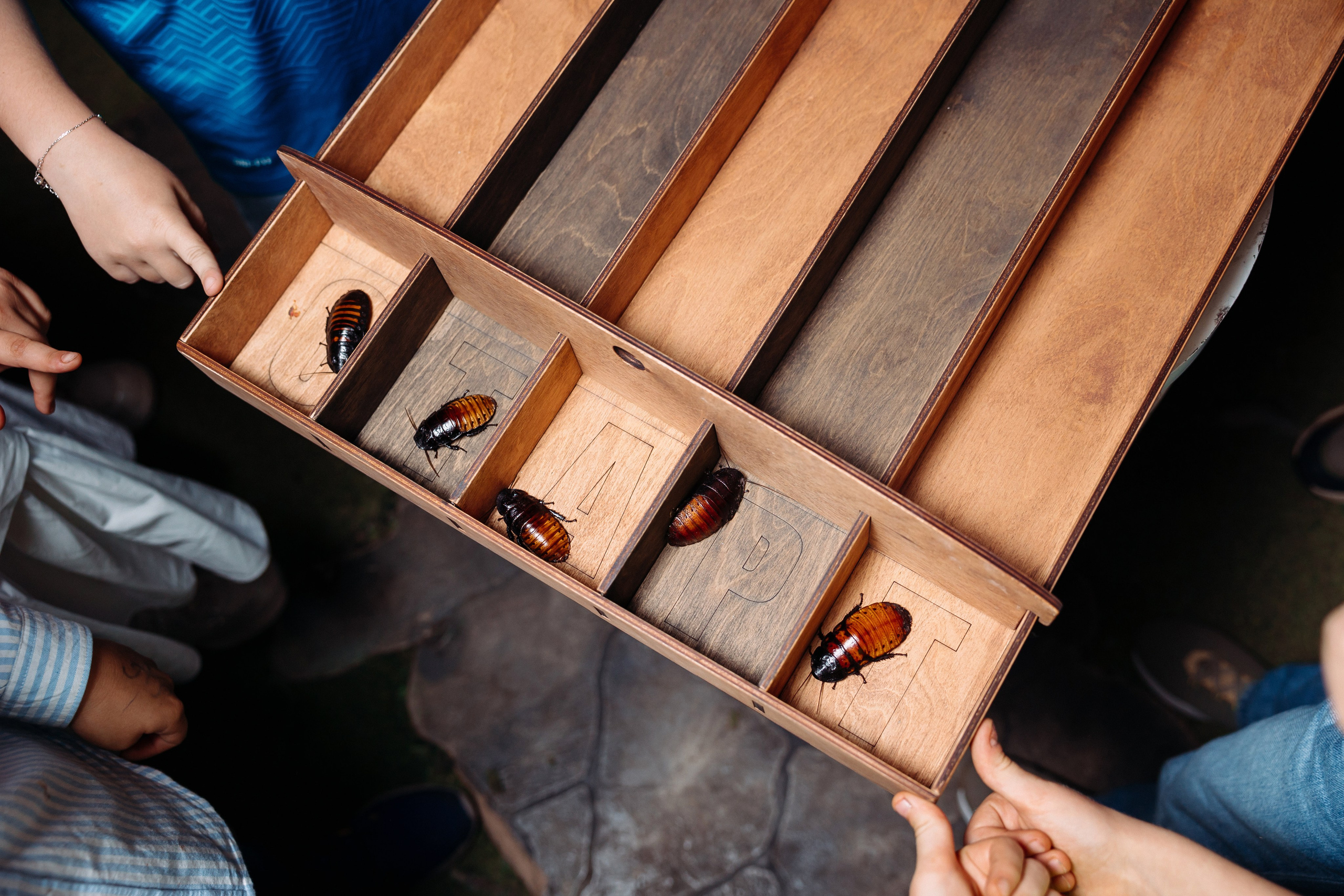 Дни Рождения. Фотограф в Санкт-Петербурге Кирюшенков Андрей