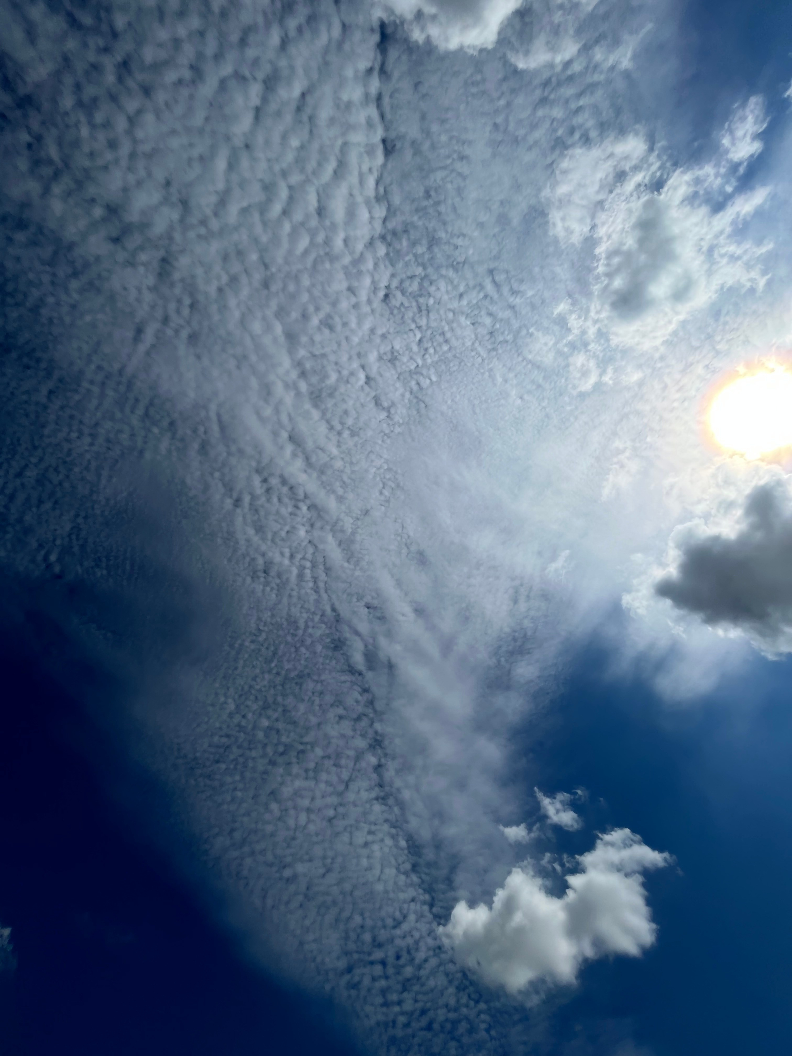 Визуальный дневник. Портретный фотограф в Москве Гахраманова Екатерина