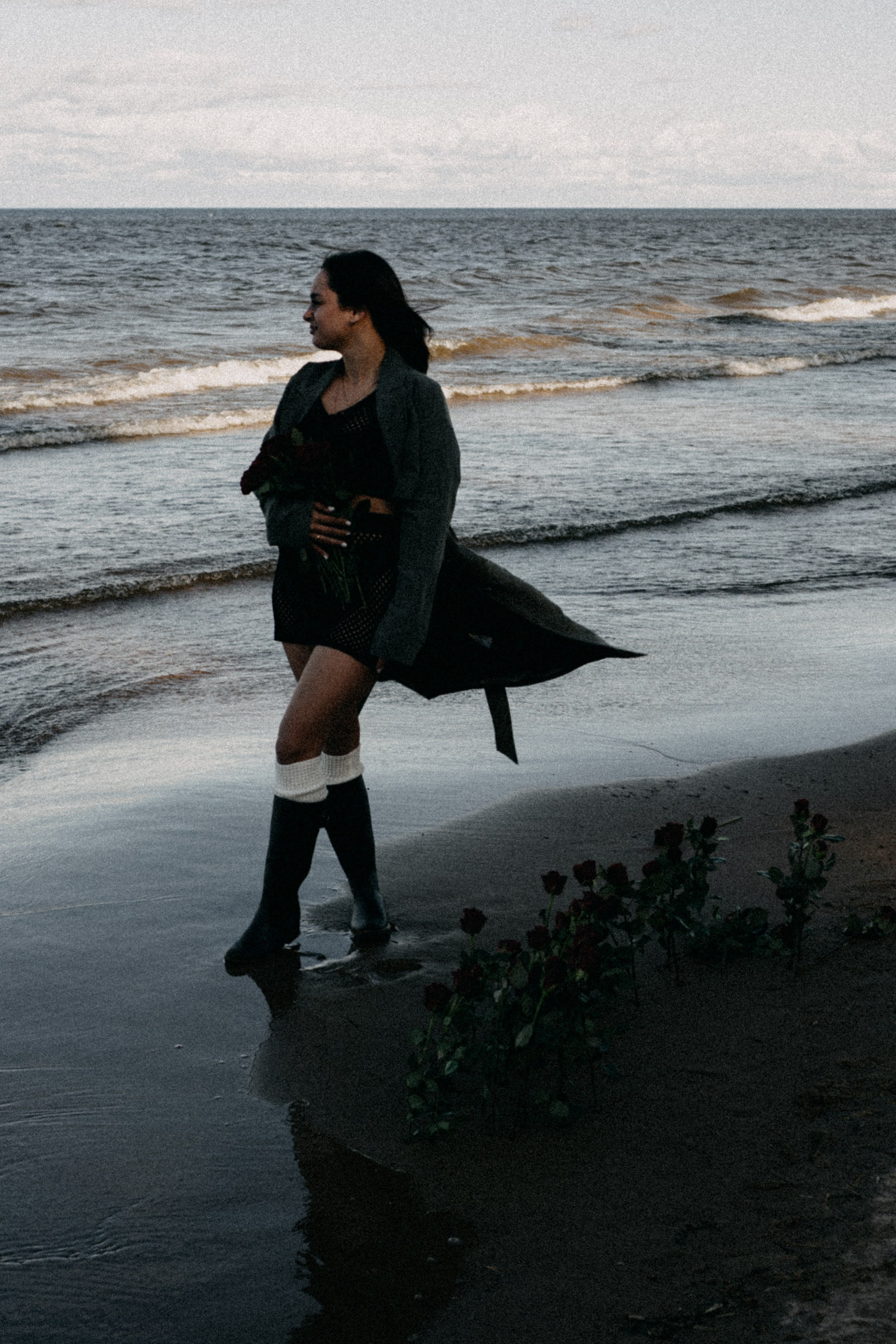 Розы. Профессиональный фотограф, Санкт-Петербург — Виктория Богомолова