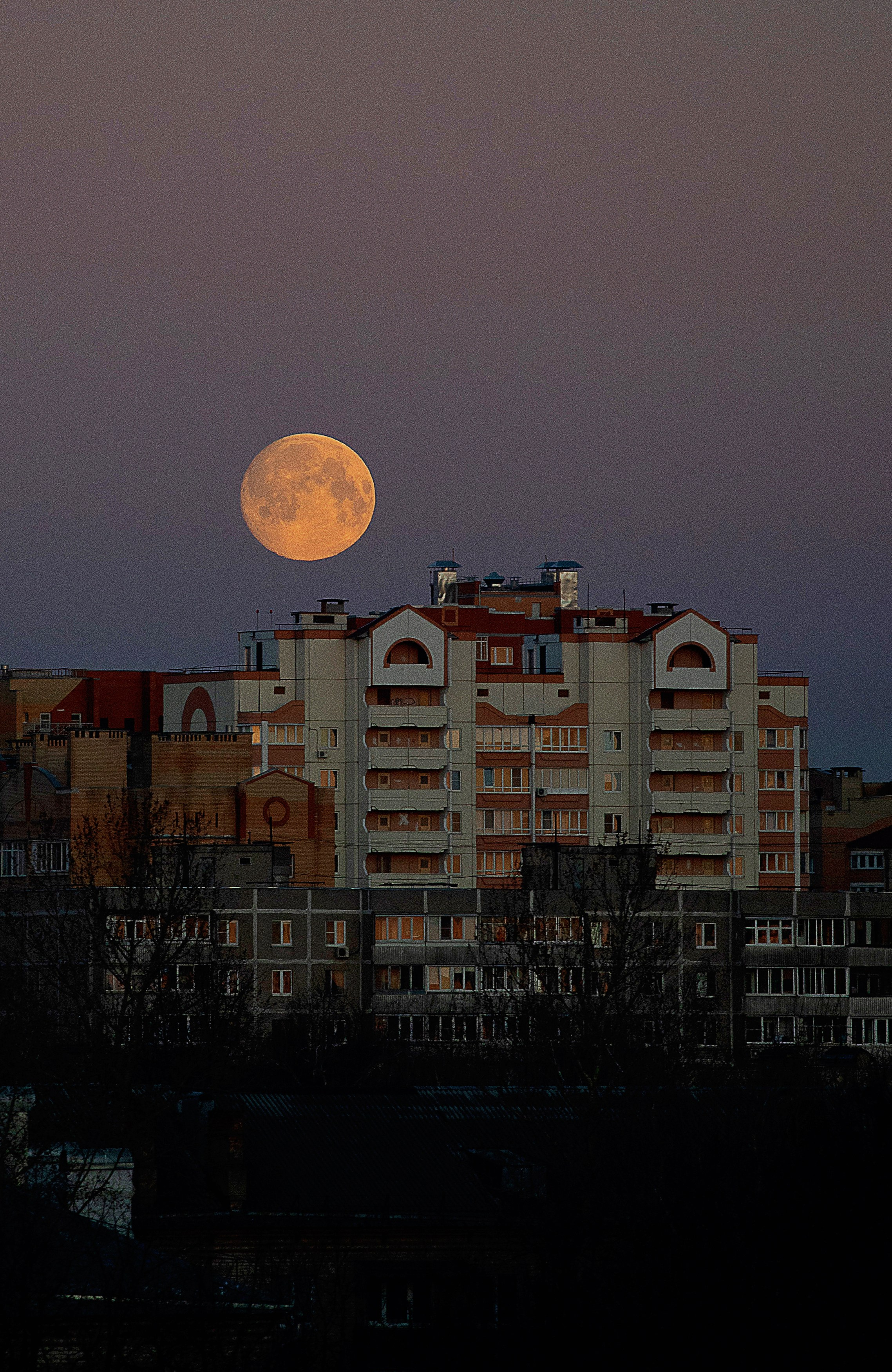 Фотошкола. Творческая Таты Пахомовой