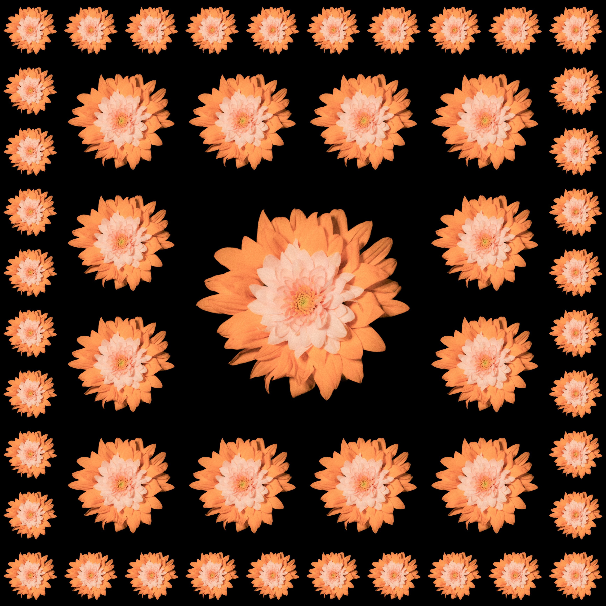 Единство (серия). Мистические фотосессии в Санкт-Петербурге от мистика Ильи Шенгелия