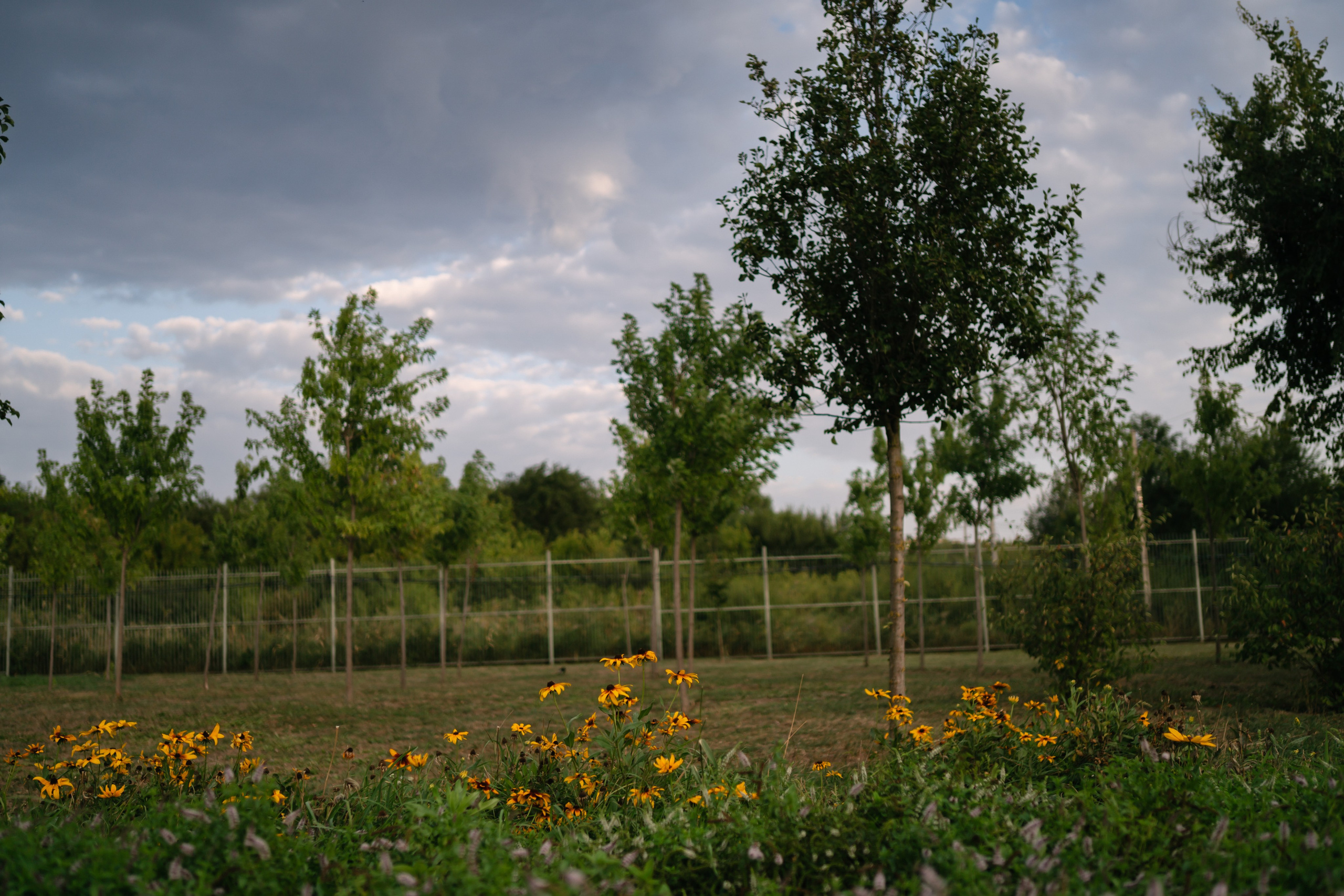 Локации для школьных съемок. Семейный фотограф и видеограф Ростов-на-Дону