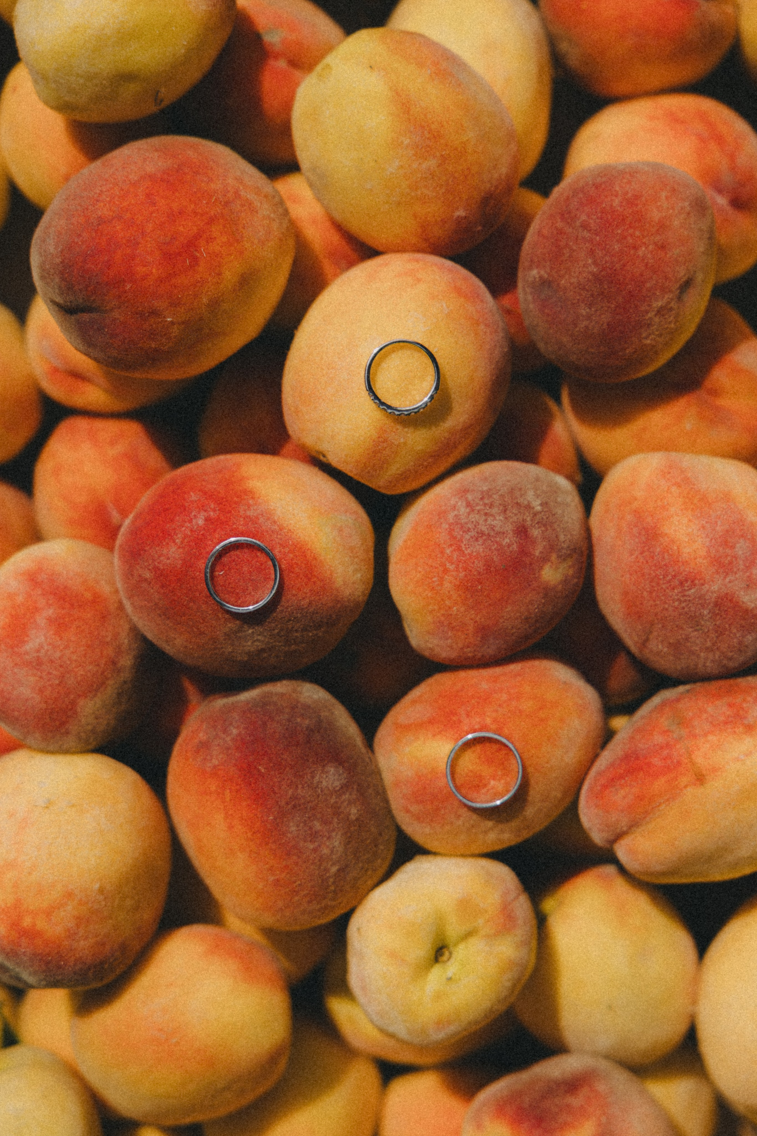 Даниил & Мария. Оформление свадеб, декор свадеб Вера Маркова, Москва