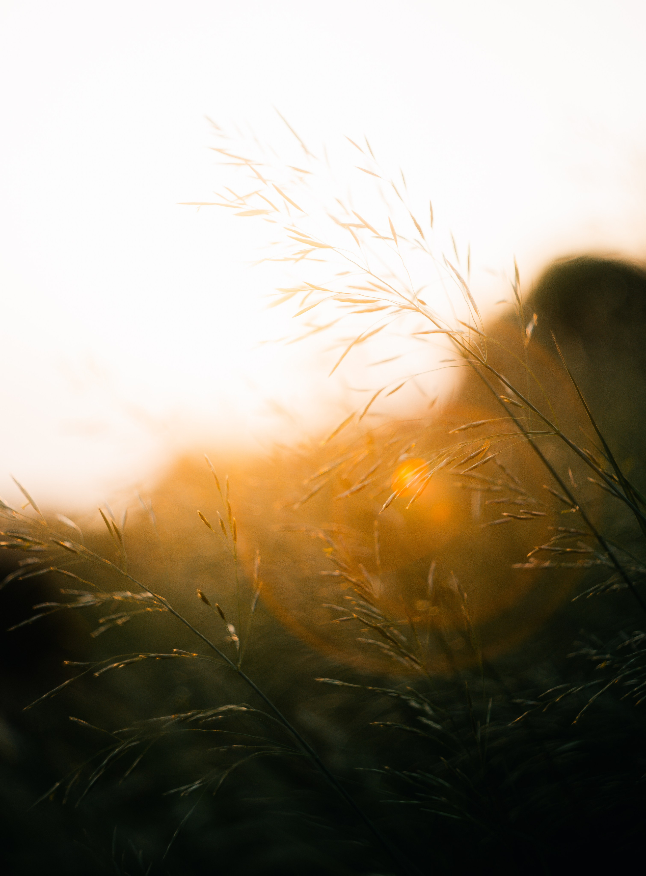 Wallpapers. Фотограф Казань