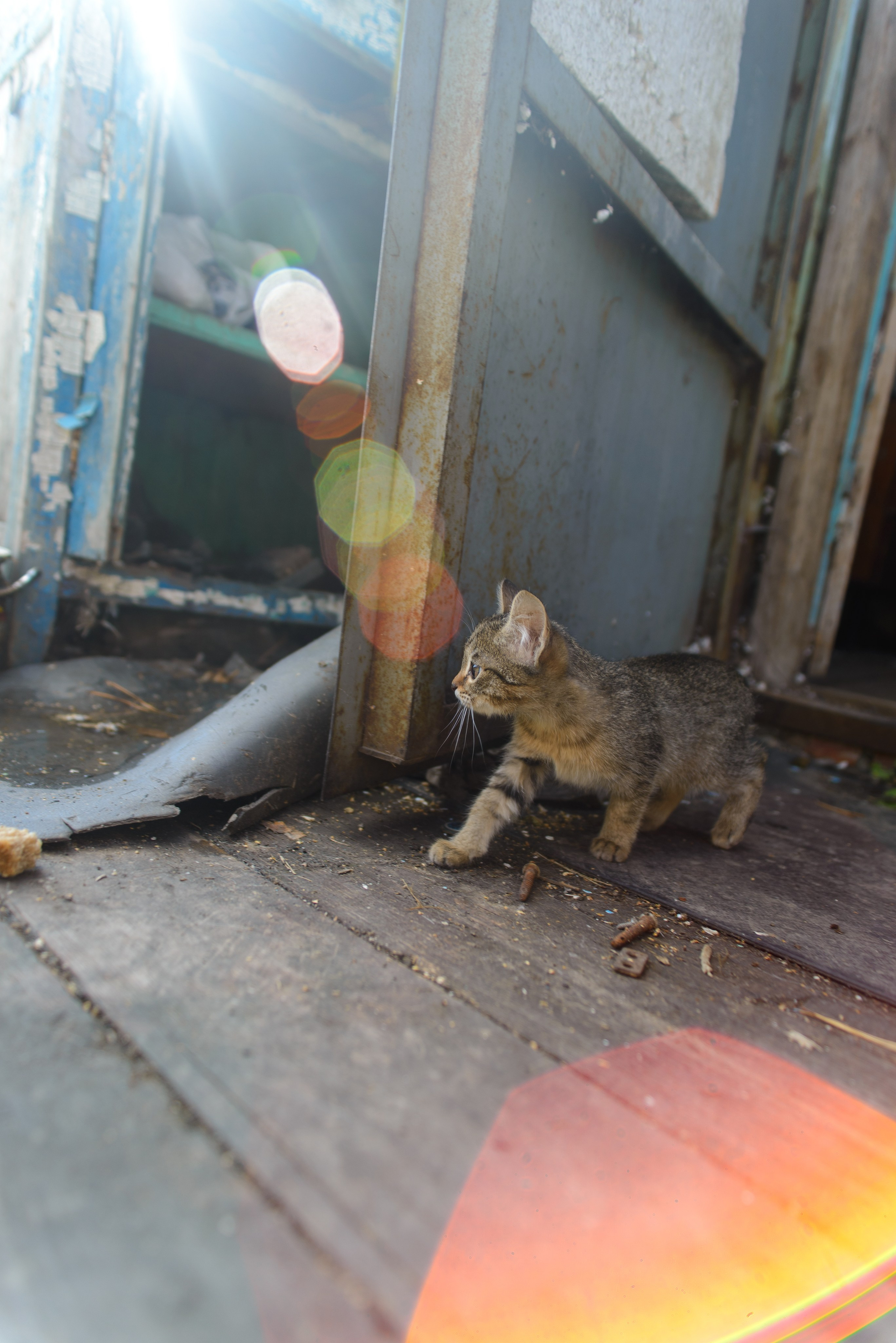 Природа. Фотограф в городе Омске Константин Зоткин