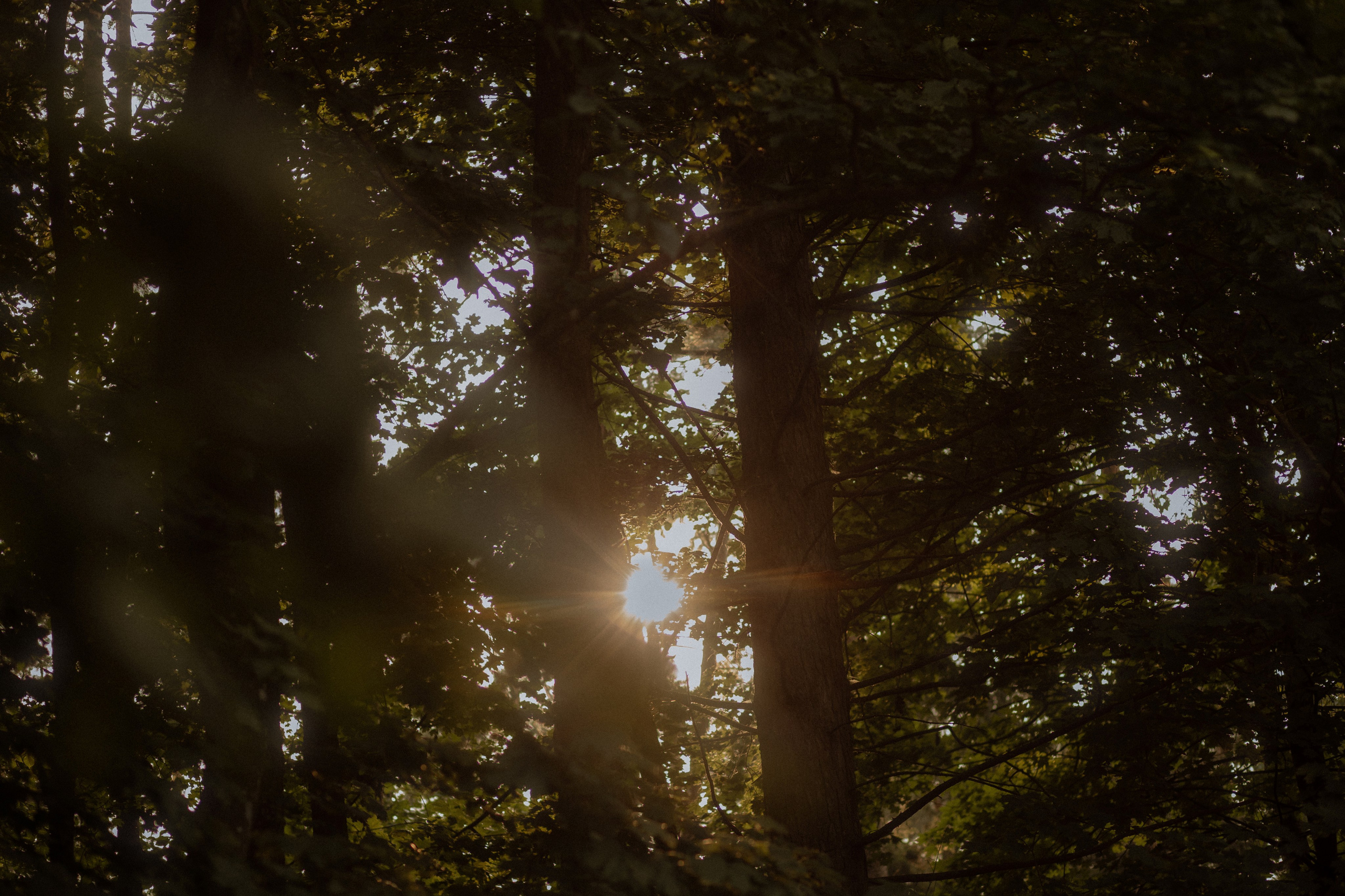 Yan & Polina. Part II: Nobody knows it but me. Фотограф Лия Козловская Минск