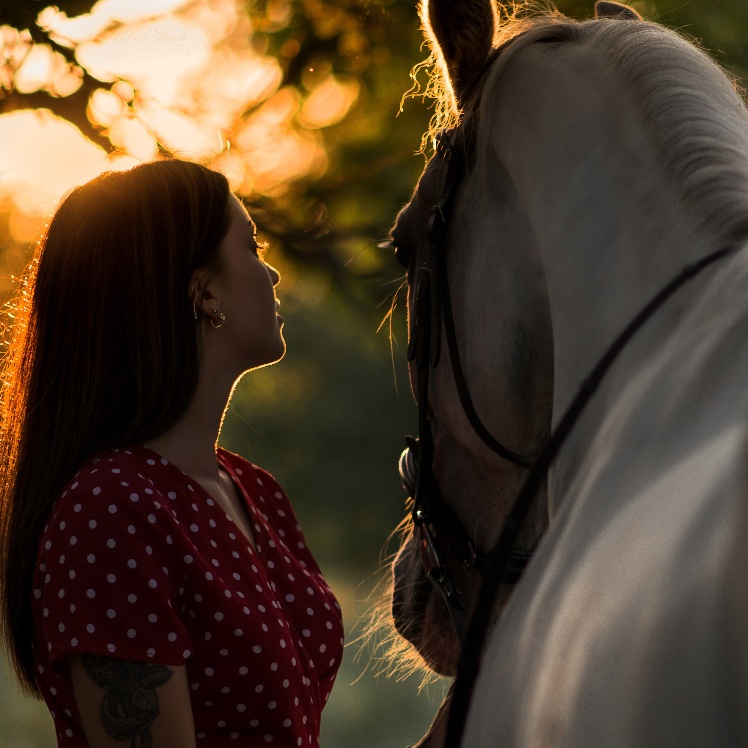 Девушки, Каспиец и Багрец. Конный фотограф в Саратове Юлия Иванова