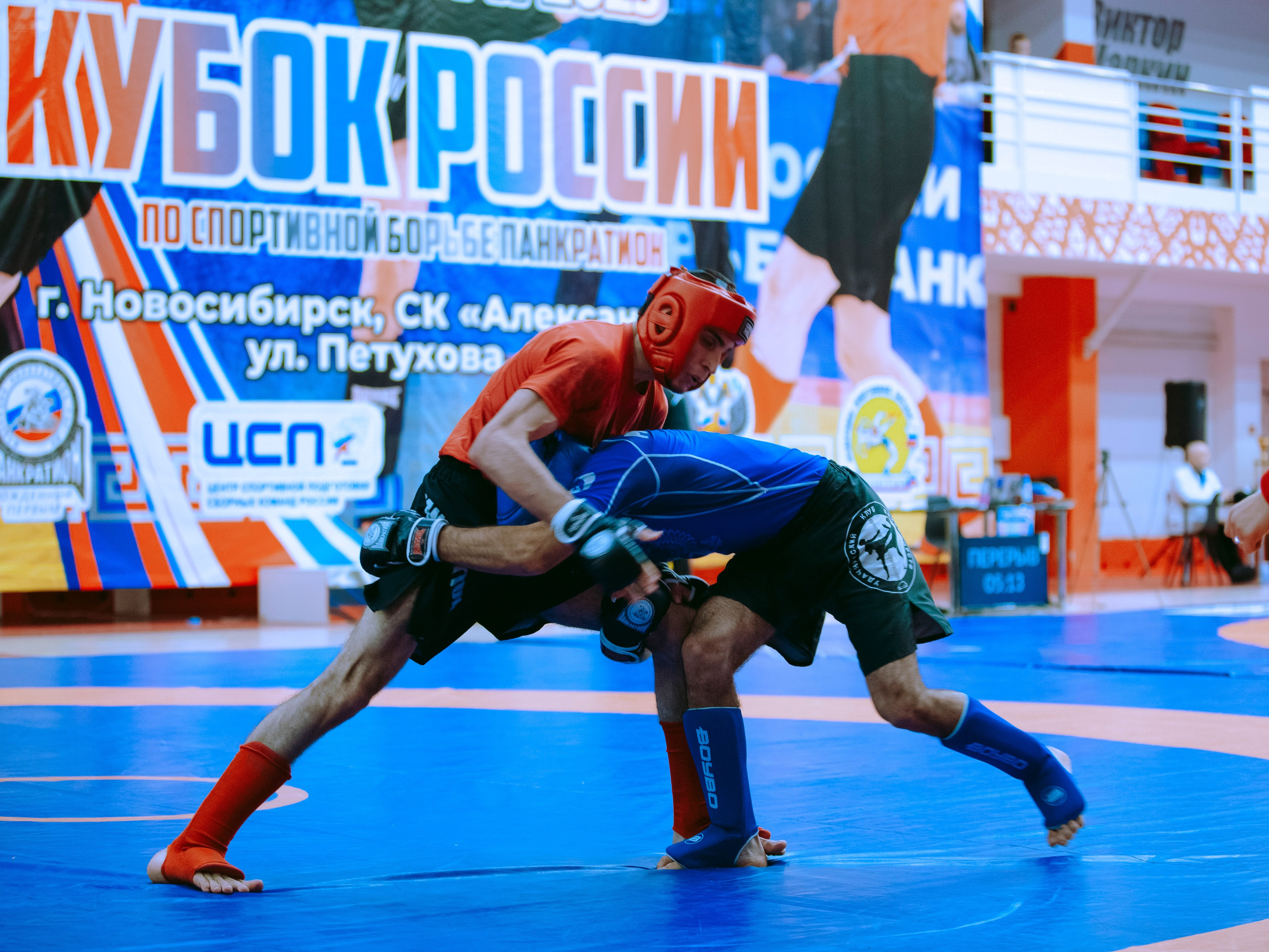 Кубок России по спортивной борьбе панкратион `23. Портретный фотограф в Москве Дарья Цезария