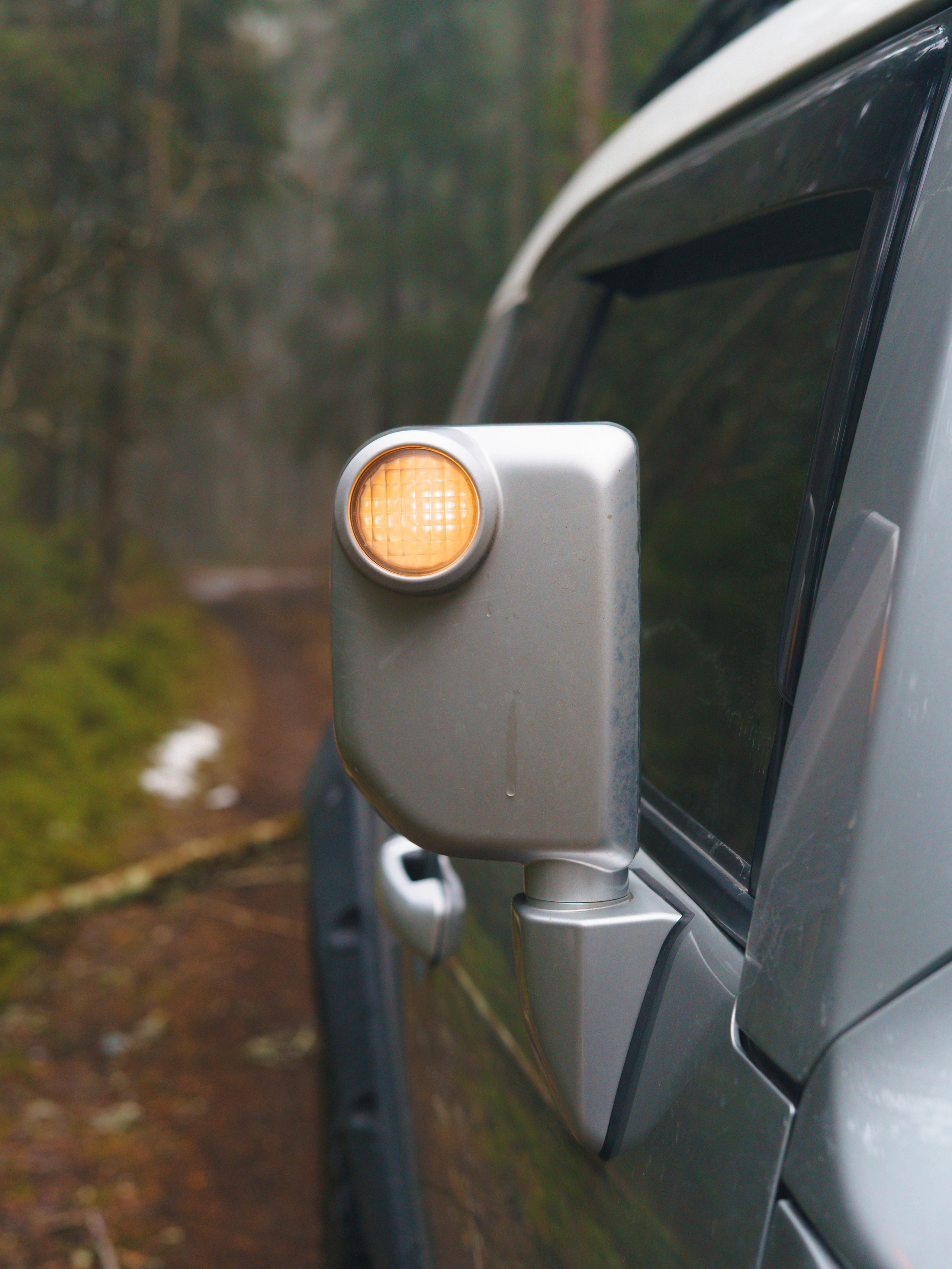 Зеркало Toyota FJ Cruiser в лесу
