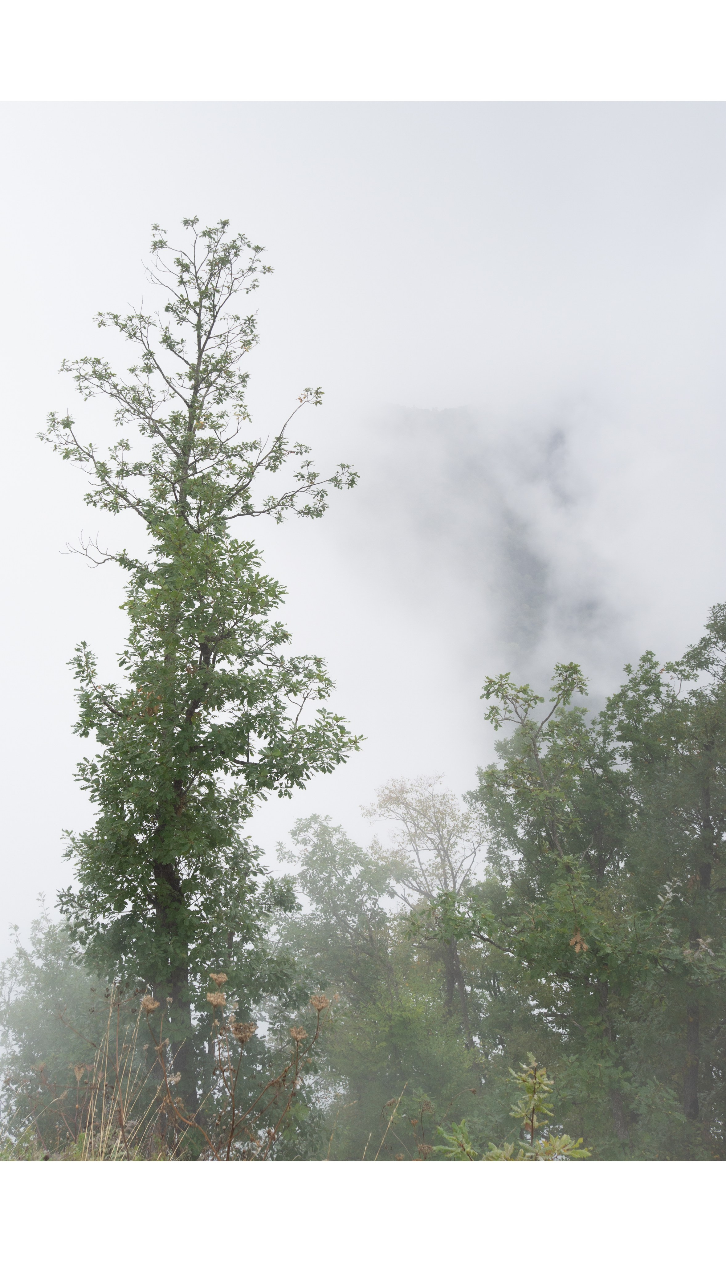 Интерьерные фотографии России. Фотографии Руслана Сайдалиева (Рус Сай)