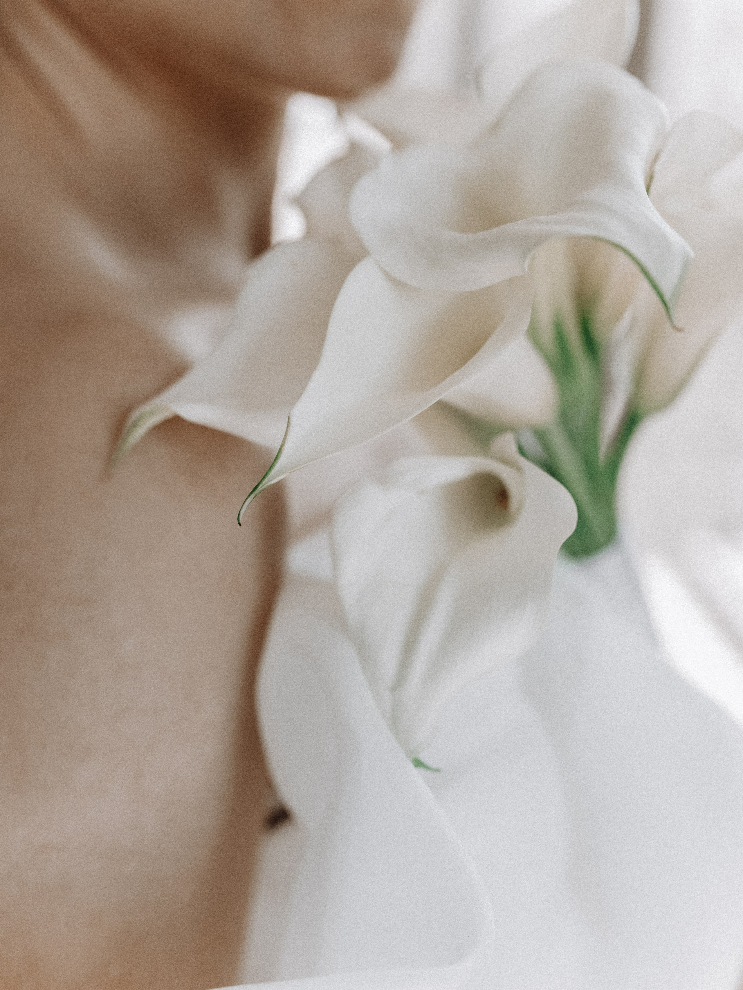 Свадебный фотограф в Инских Холмах, Новосибирск | Яна Иванова. Семейный и свадебный фотограф в Новосибирске Иванова Яна