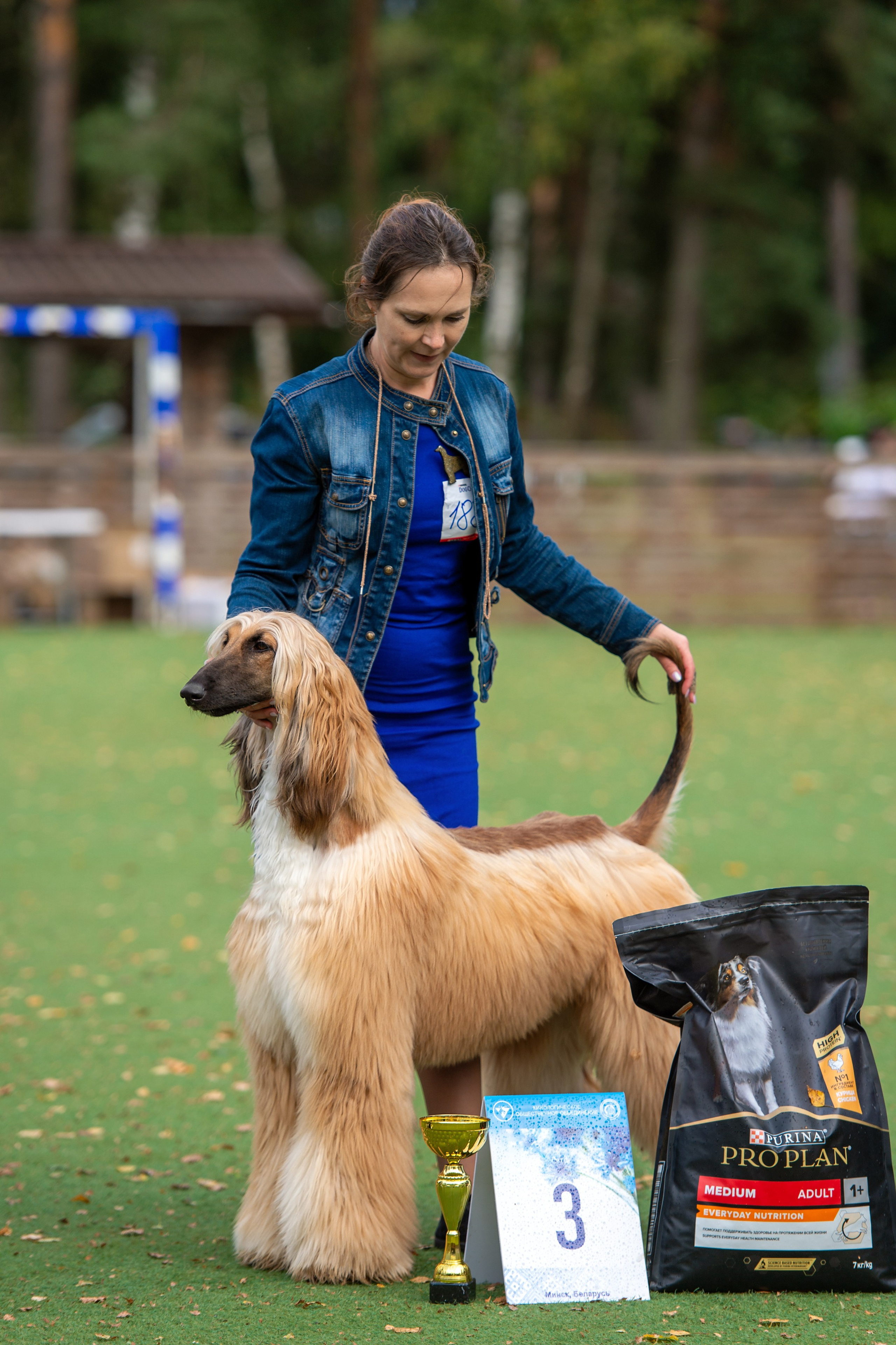 24.08.2025 Региональная выставка КОО и Республиканская выставка РКЛС. Галерея фотографий афганской борзой