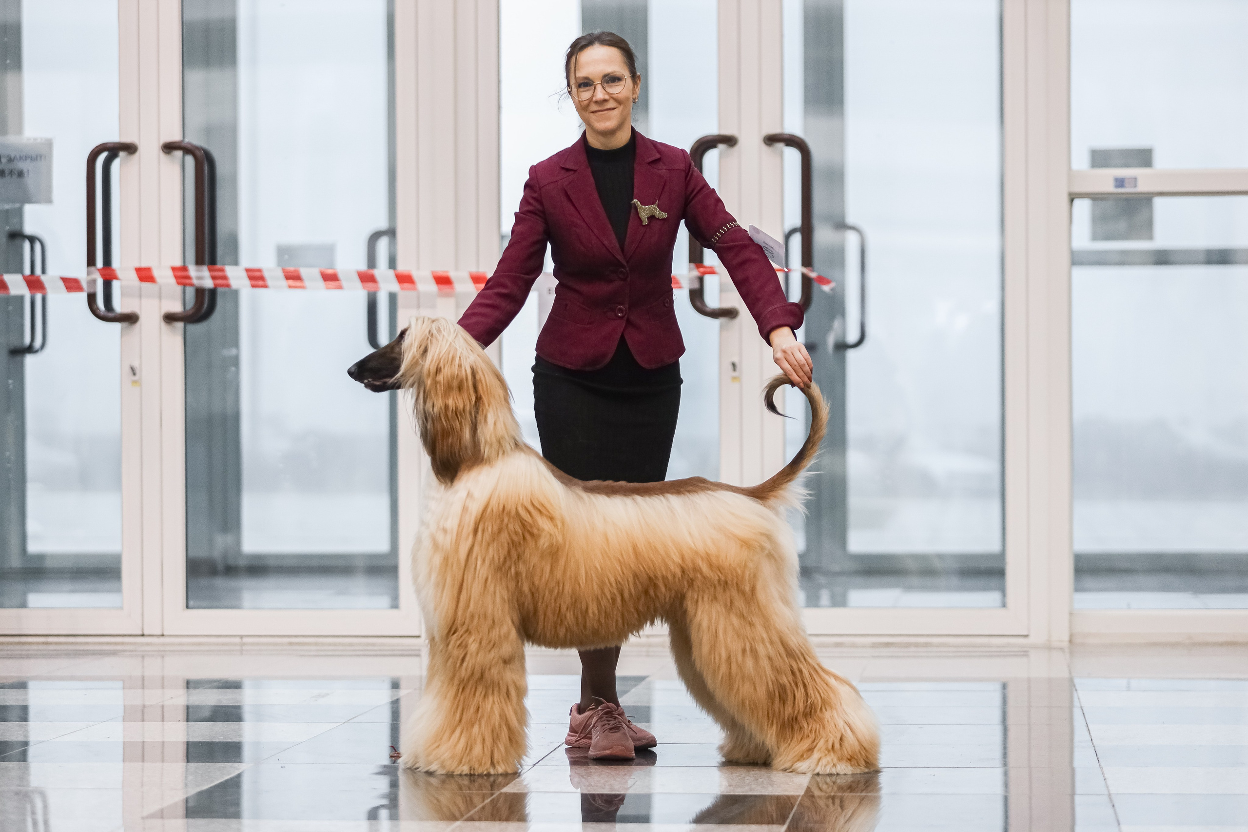 Международная выставка собак СACIB FCI 29-30.11.2025. Галерея фотографий афганской борзой