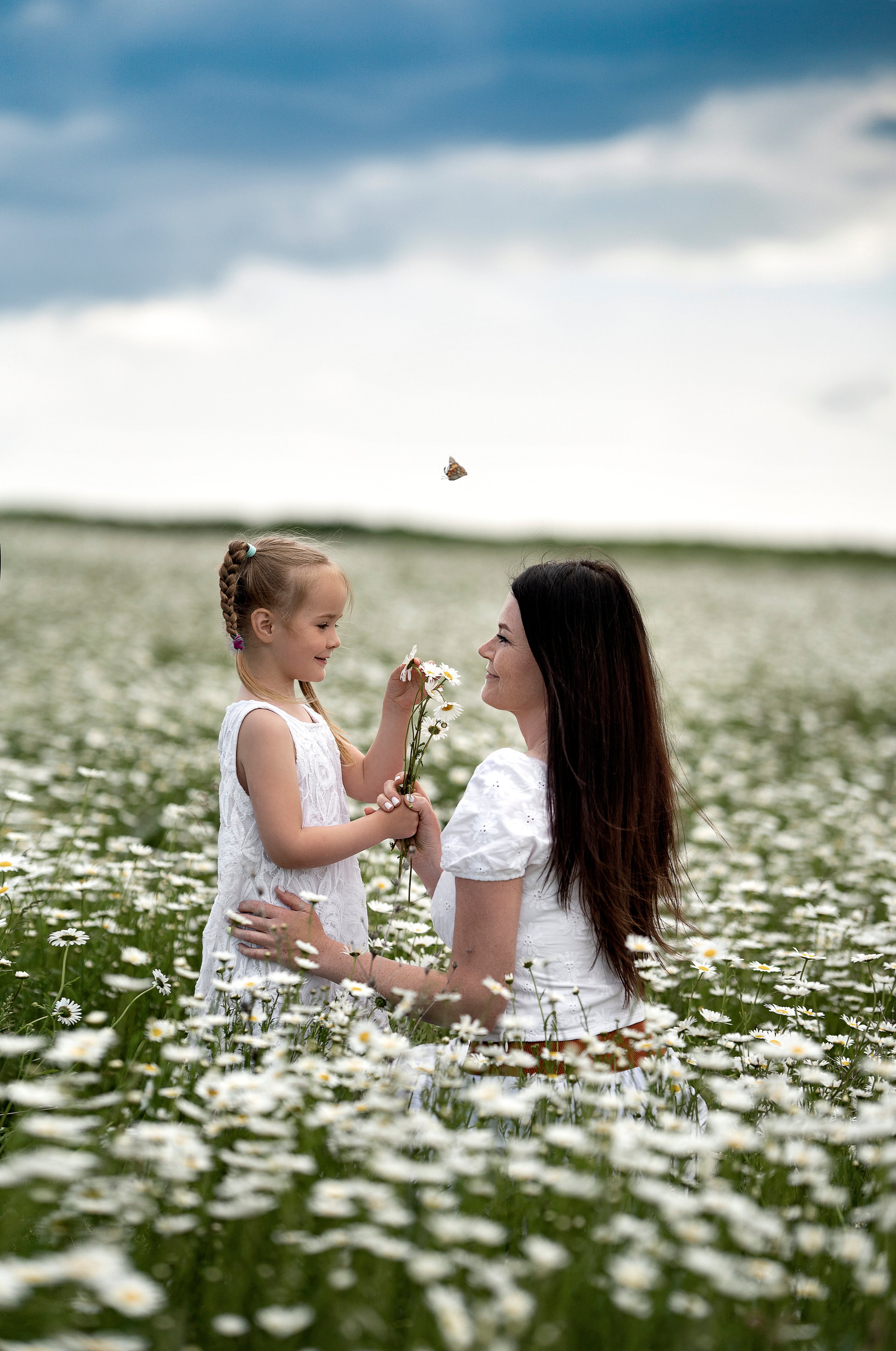 Ромашки. Фотограф в Крыму Лебедева Александра