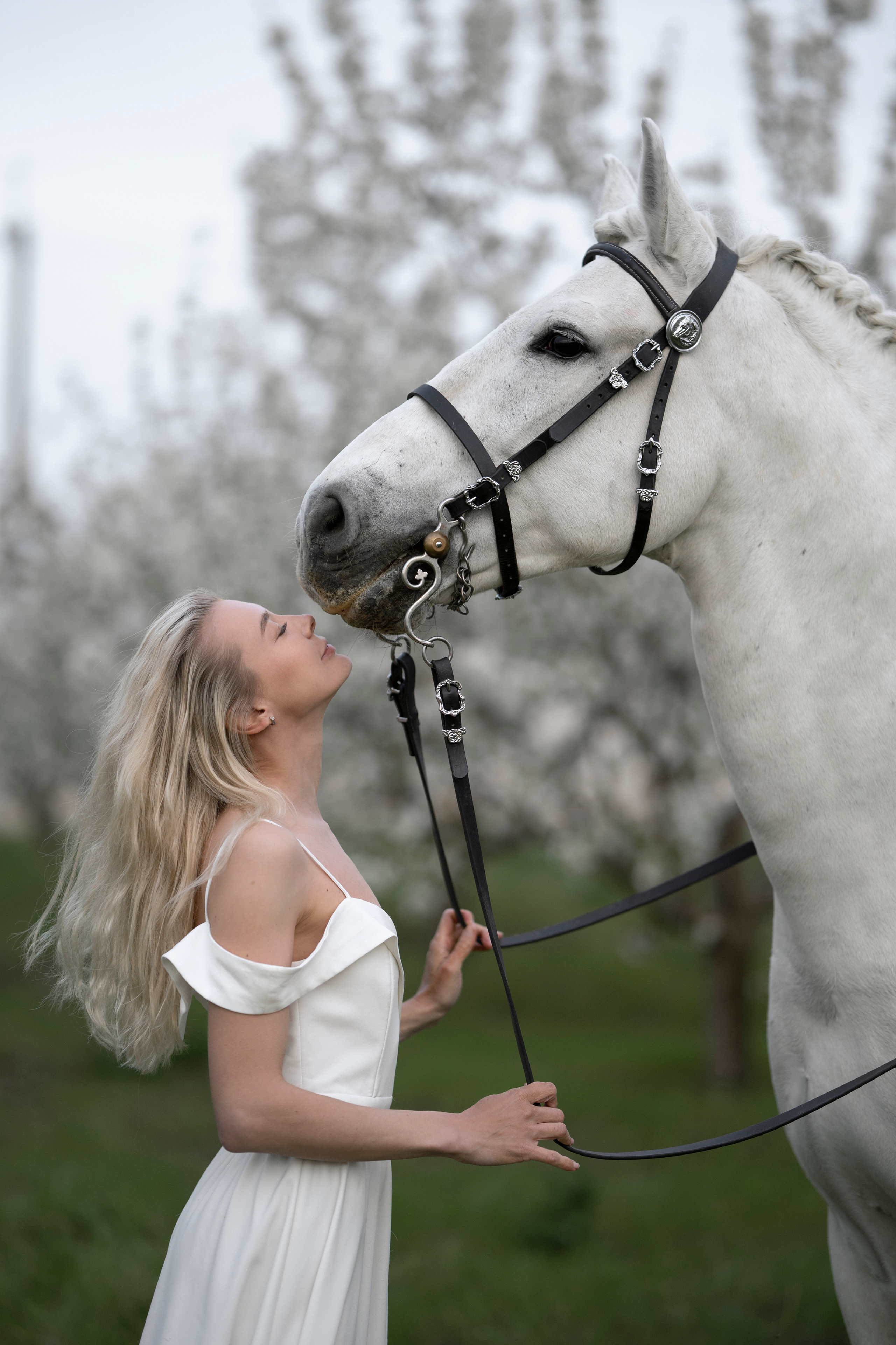 Цветущие сады. Фотограф в Крыму Лебедева Александра
