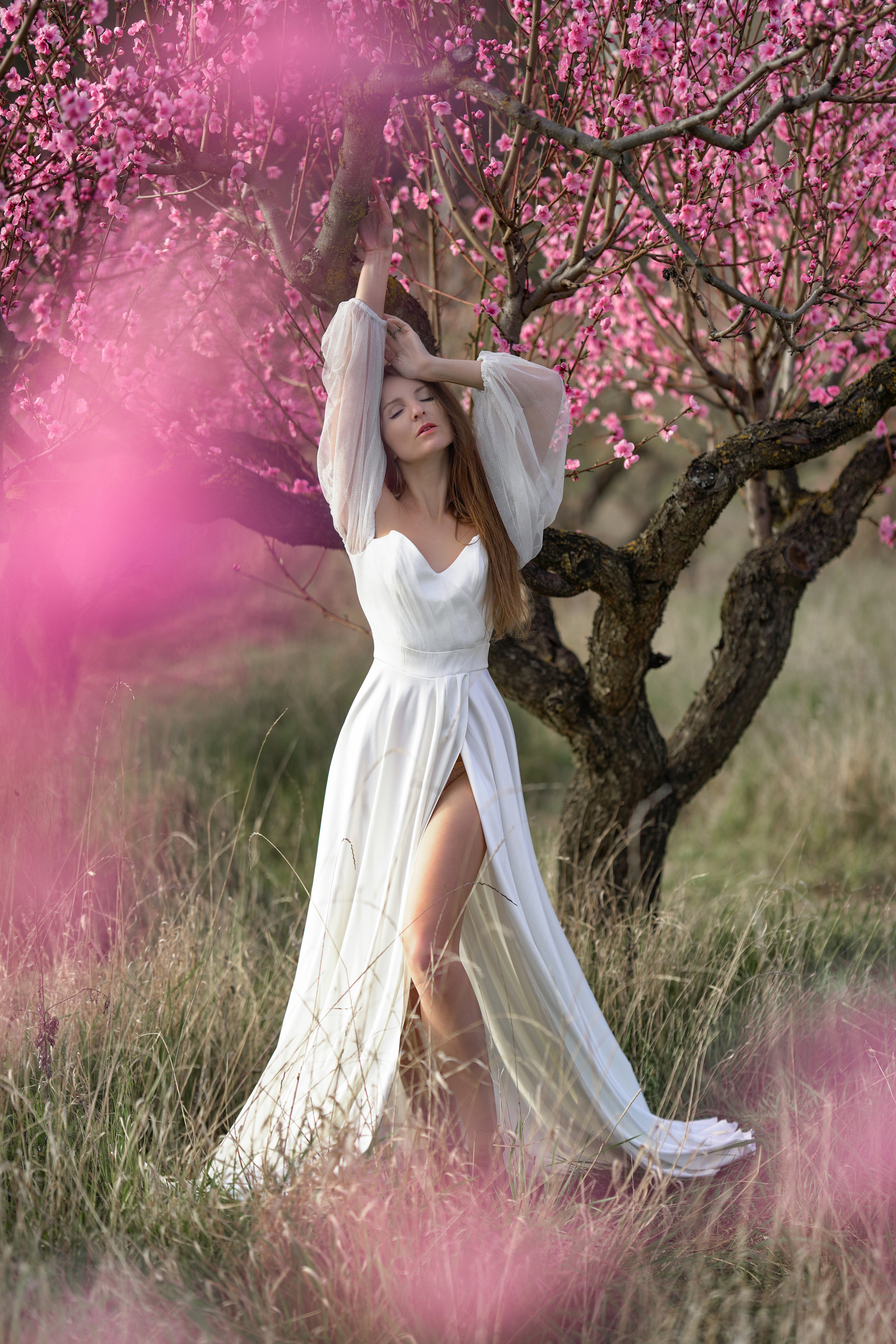 Цветущие сады. Фотограф в Крыму Лебедева Александра