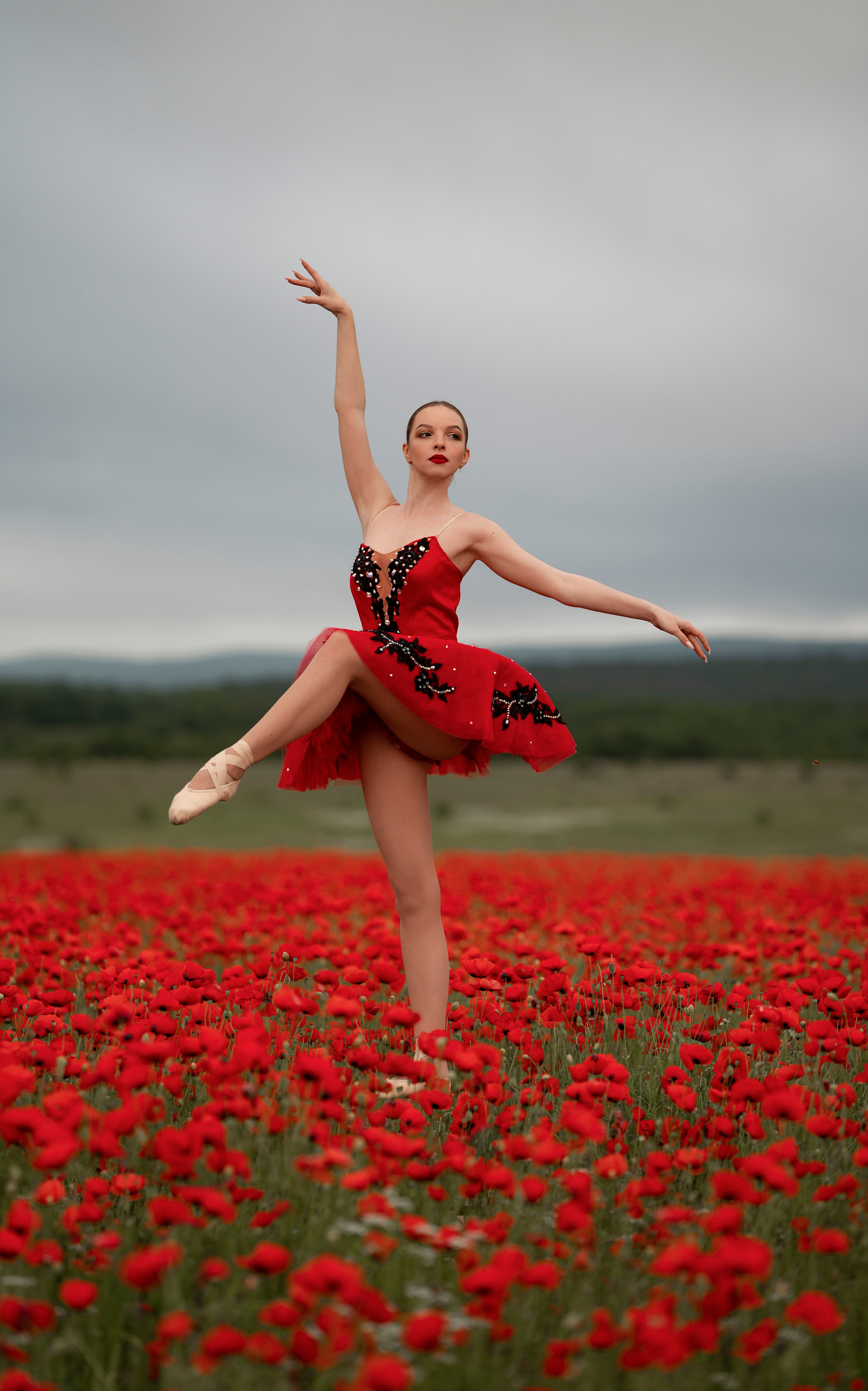 Маковое поле. Фотограф в Крыму Лебедева Александра