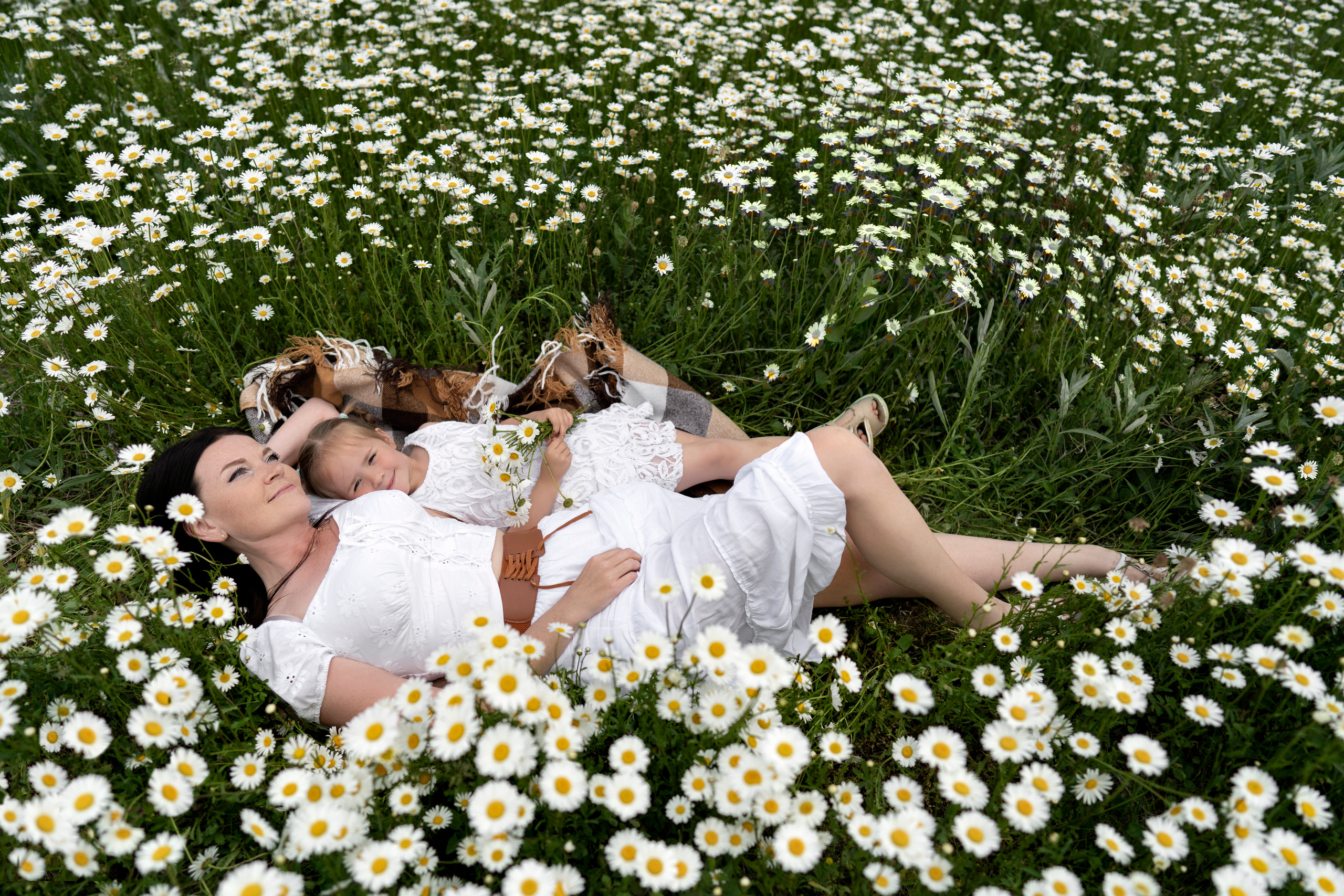 Ромашки. Фотограф в Крыму Лебедева Александра
