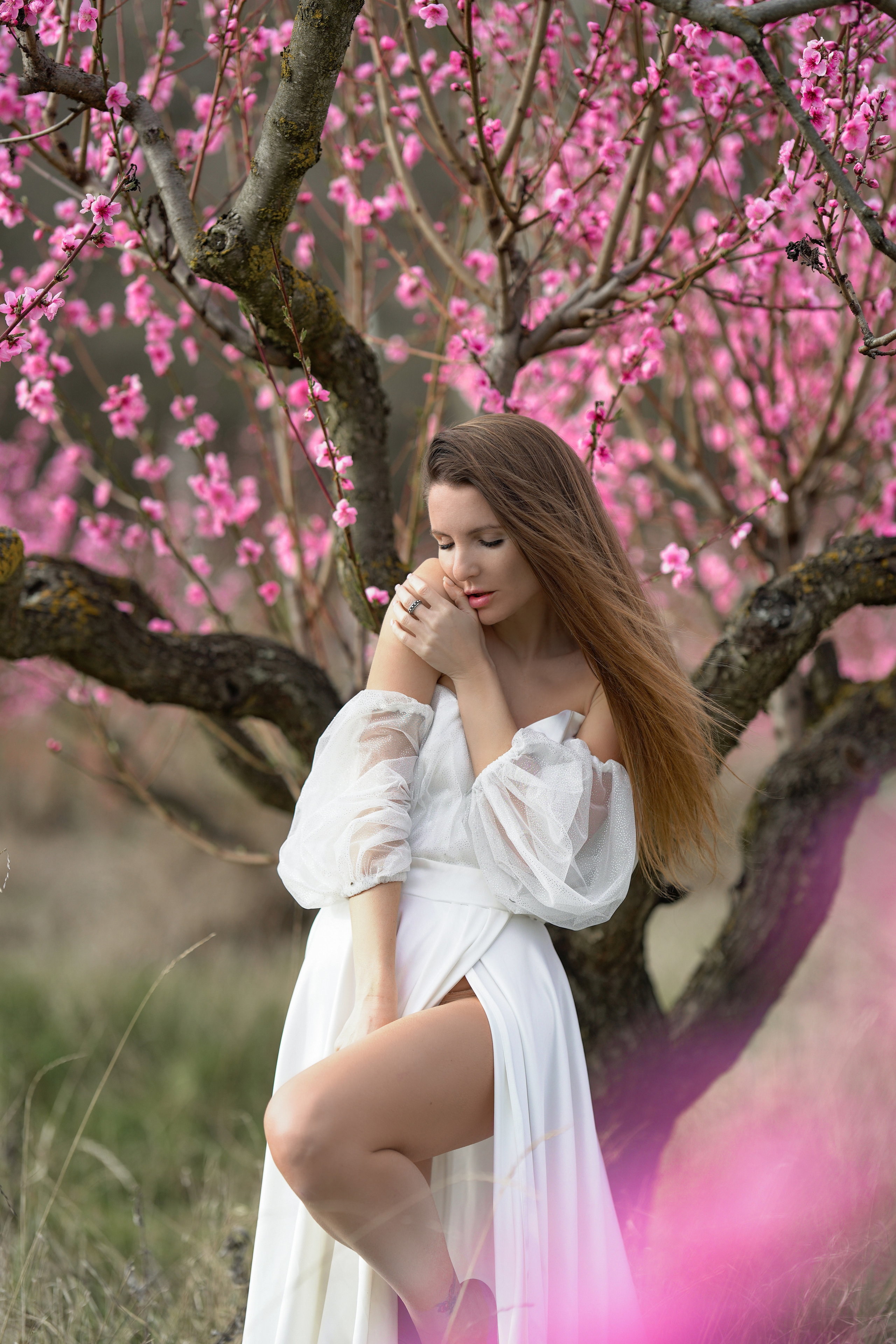 Цветущие сады. Фотограф в Крыму Лебедева Александра