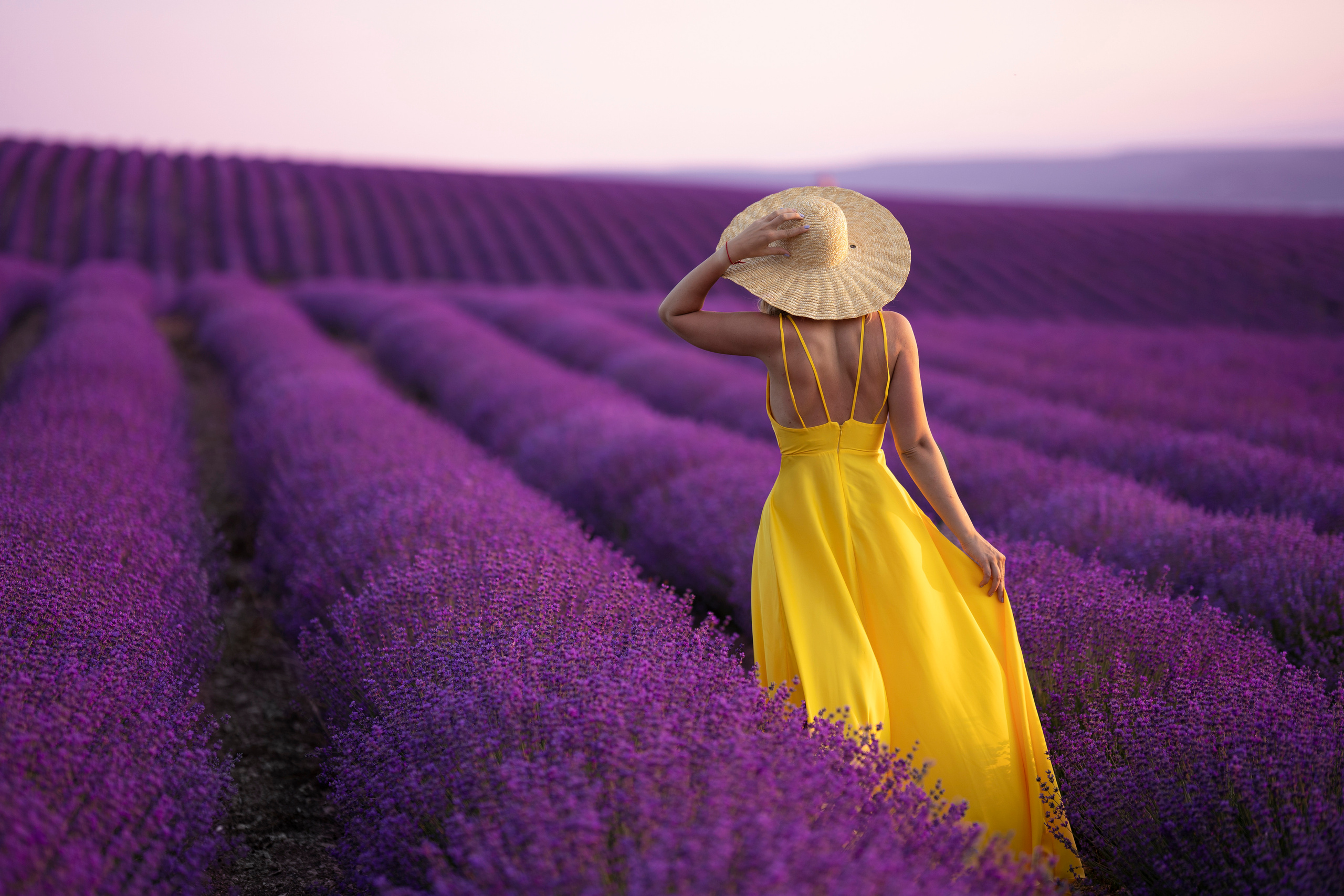 Лавандовое поле (Тургеневка). Фотограф в Крыму Лебедева Александра