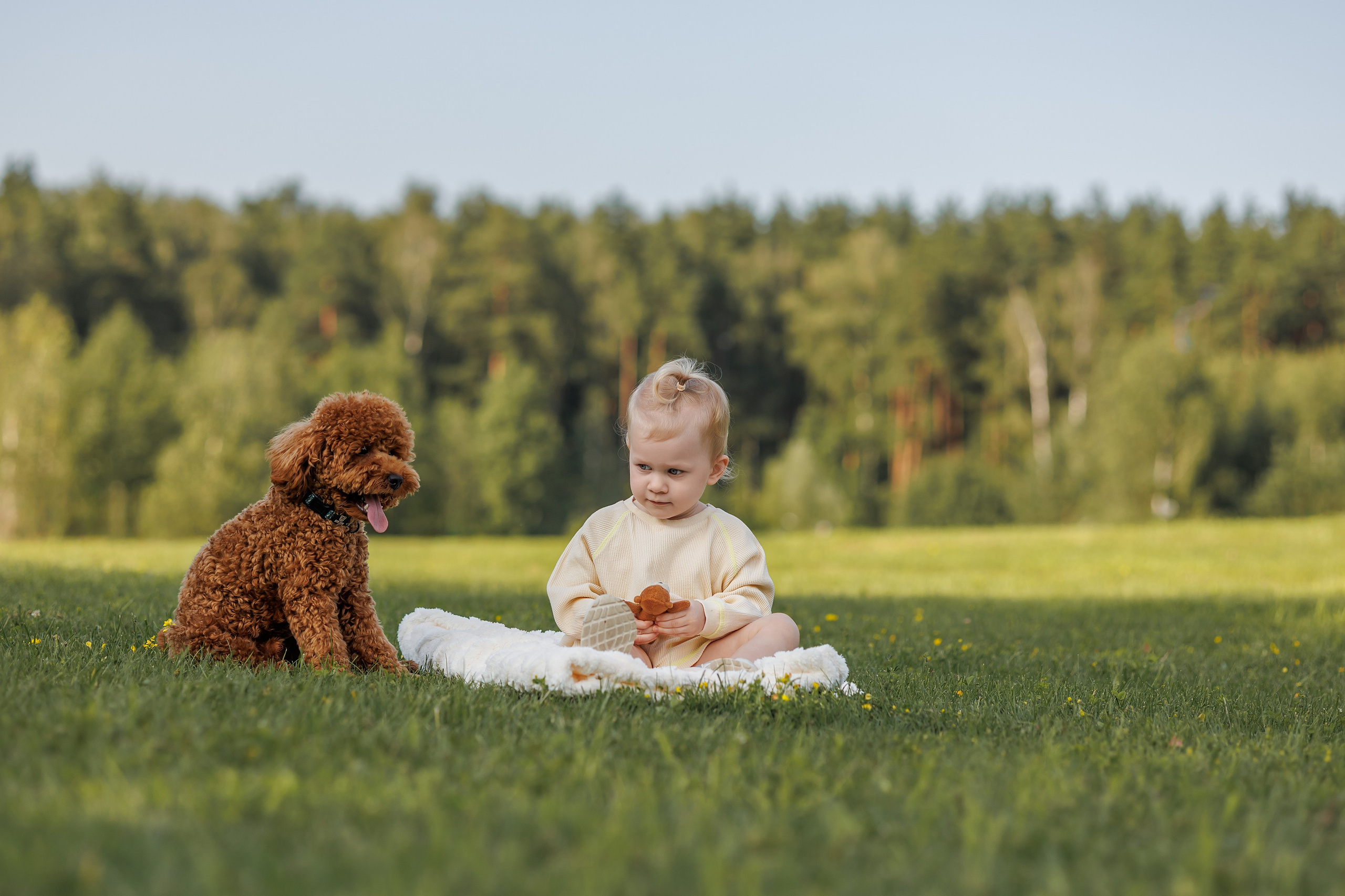 Лариса и Джек. Фотограф Анималист в Москве Анастасия Жучкова