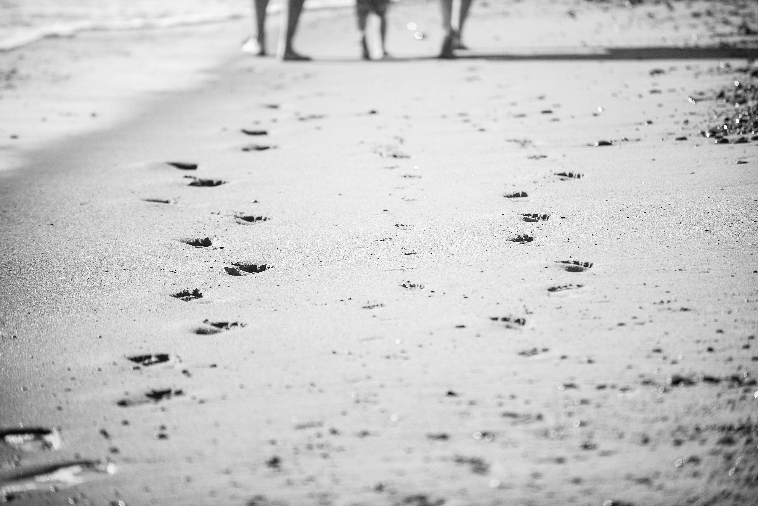 Семейная съемка. Свадебный фотограф в Крыму Александр Богомазов