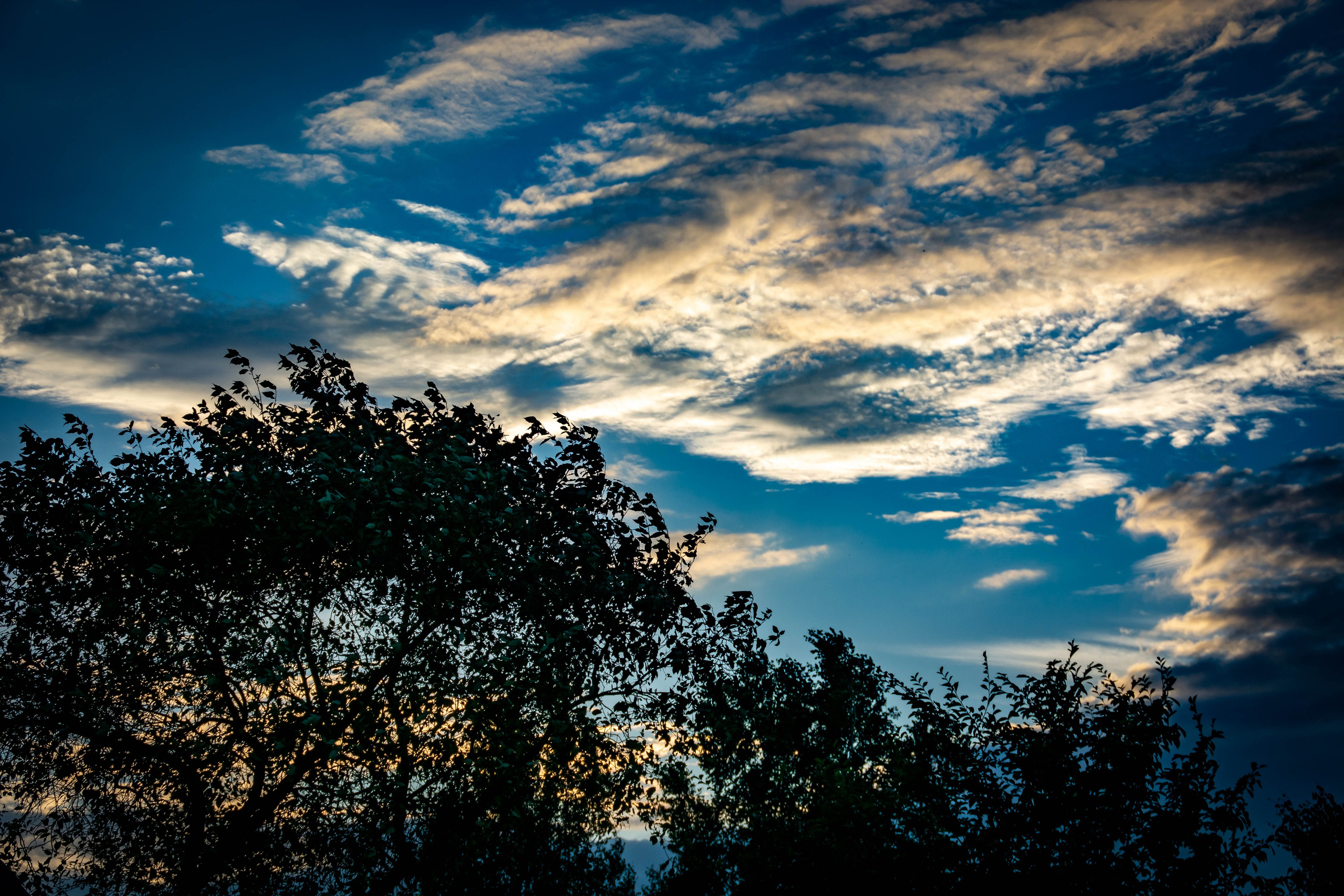 Природа в фотографии, взгляд на прекрасное через объектив фотоаппарата. Елена Волкова семейный фотограф в станице Гостагаевской города-курорта Анапа