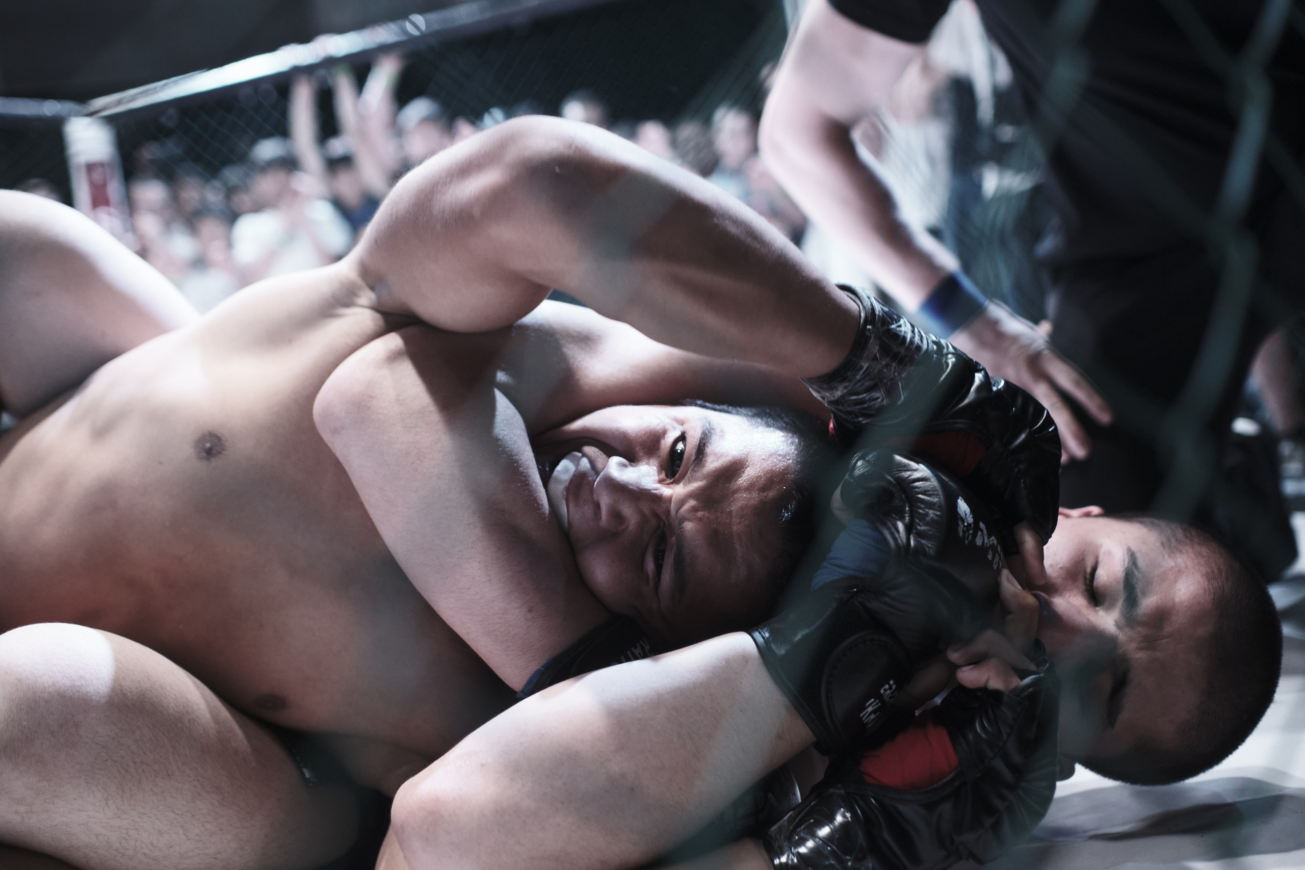 Спортивная фотография. SHELESTOV