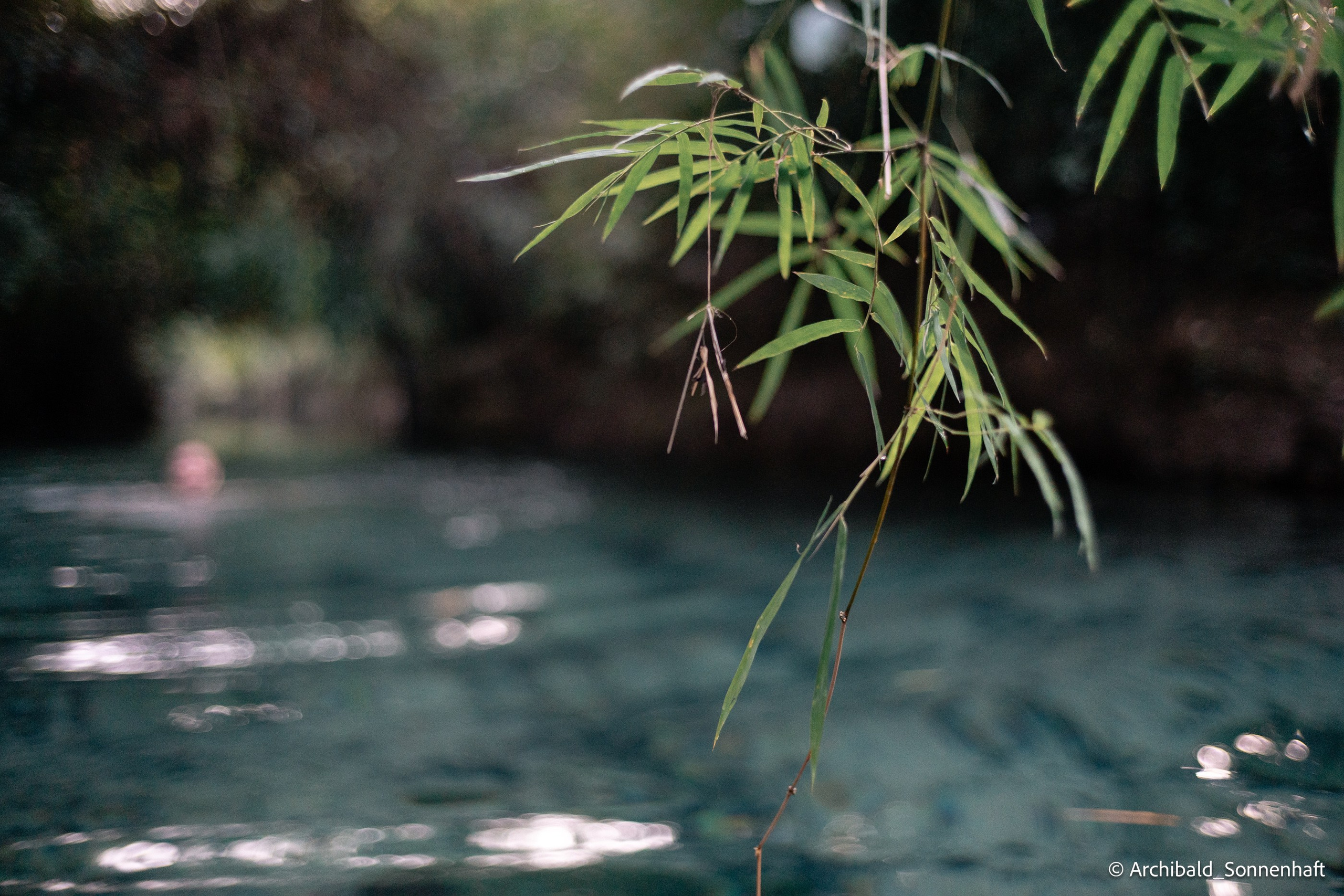 Thai monk. Photographer in Guangzhou, China. Archibald Sonnenhaft