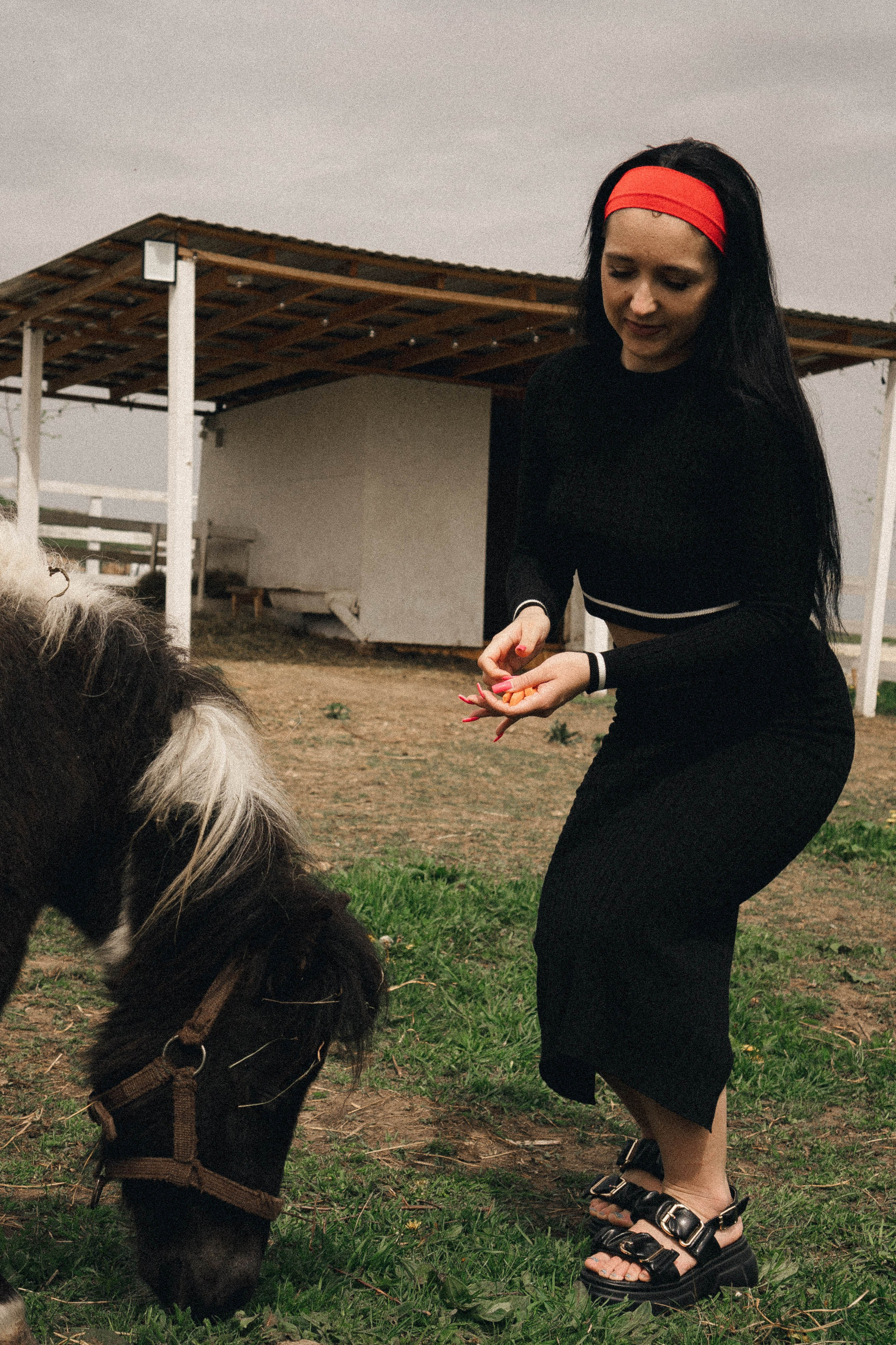 Ферма Альпак. Профессиональный фотограф, Санкт-Петербург — Виктория Богомолова
